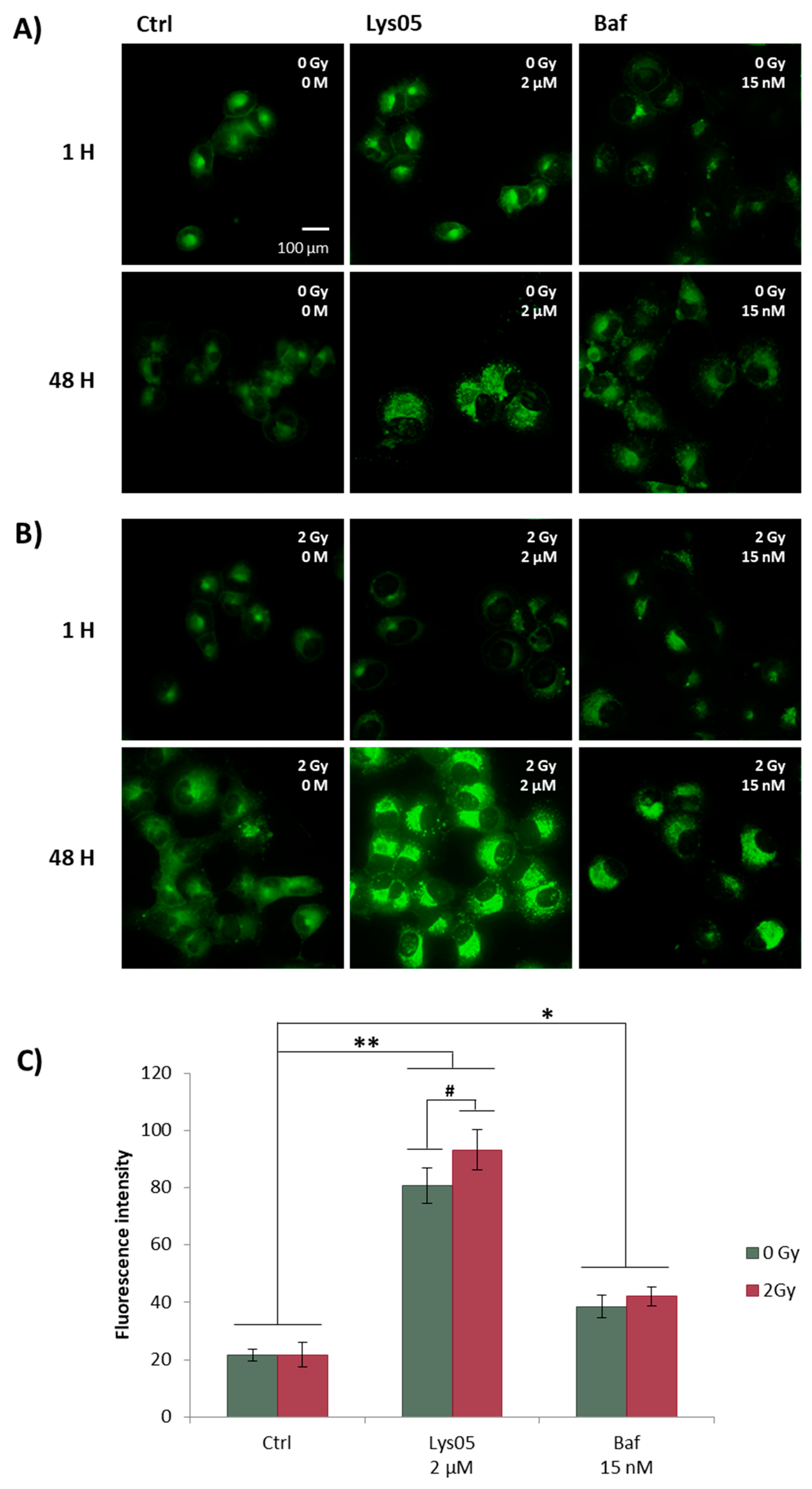 Ijms 20 05881 g004 Ijms 20 05881 g004