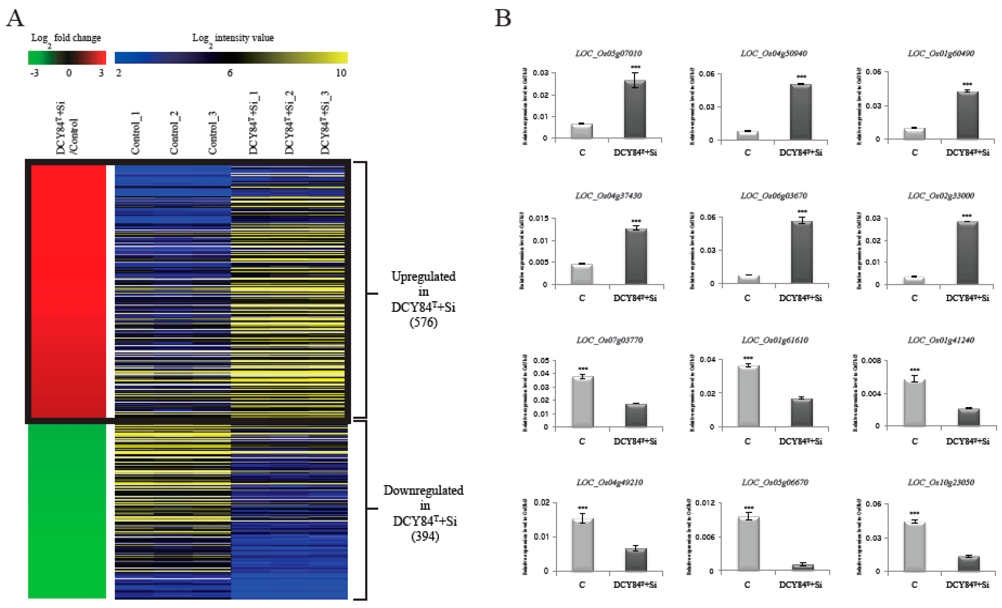 Ijms 20 05883 g001 Ijms 20 05883 g001