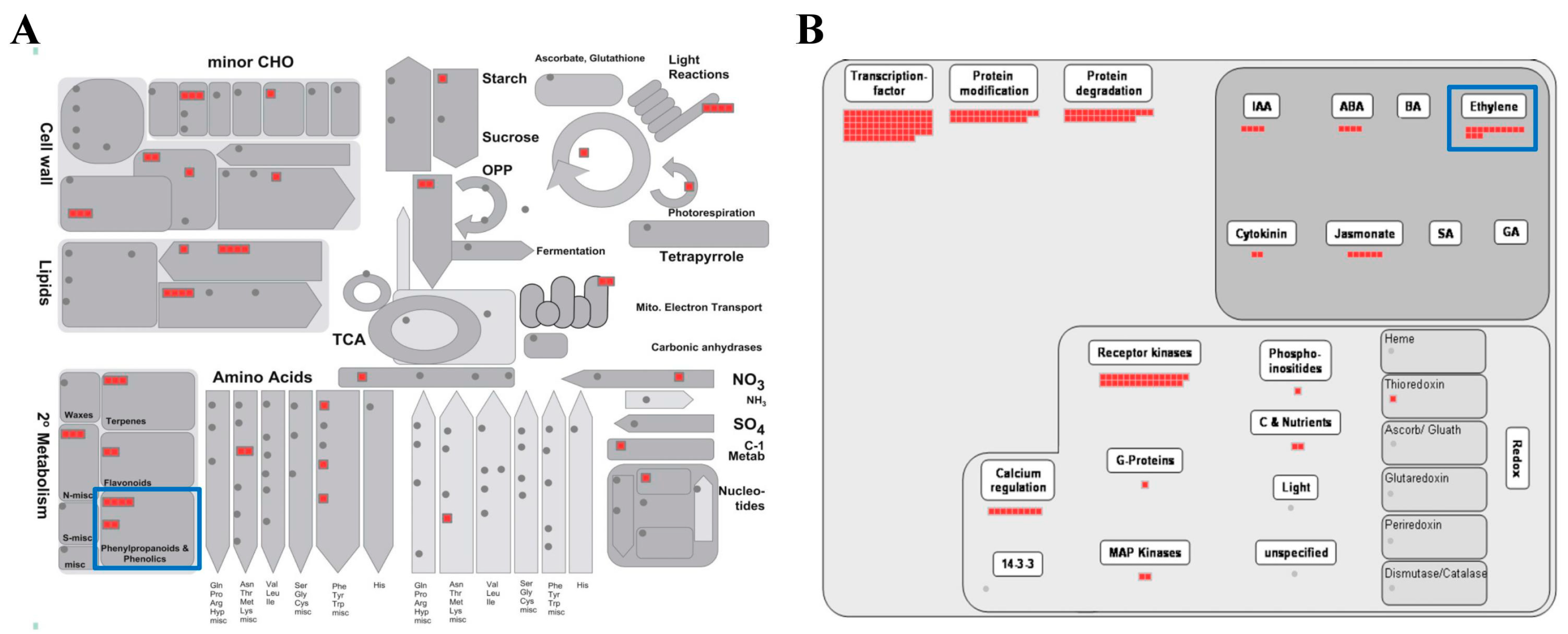 Ijms 20 05883 g003 Ijms 20 05883 g003