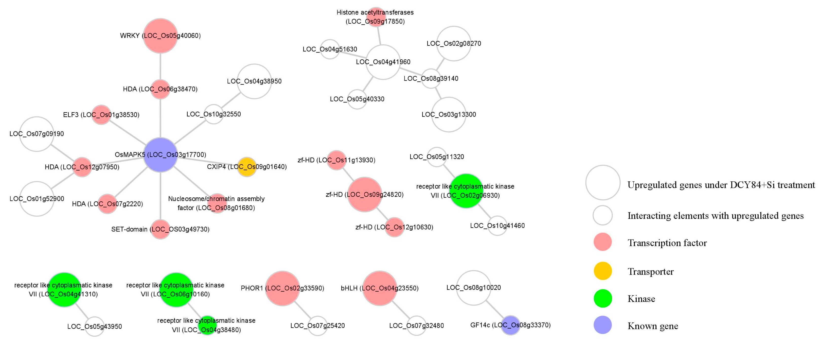 Ijms 20 05883 g005 Ijms 20 05883 g005