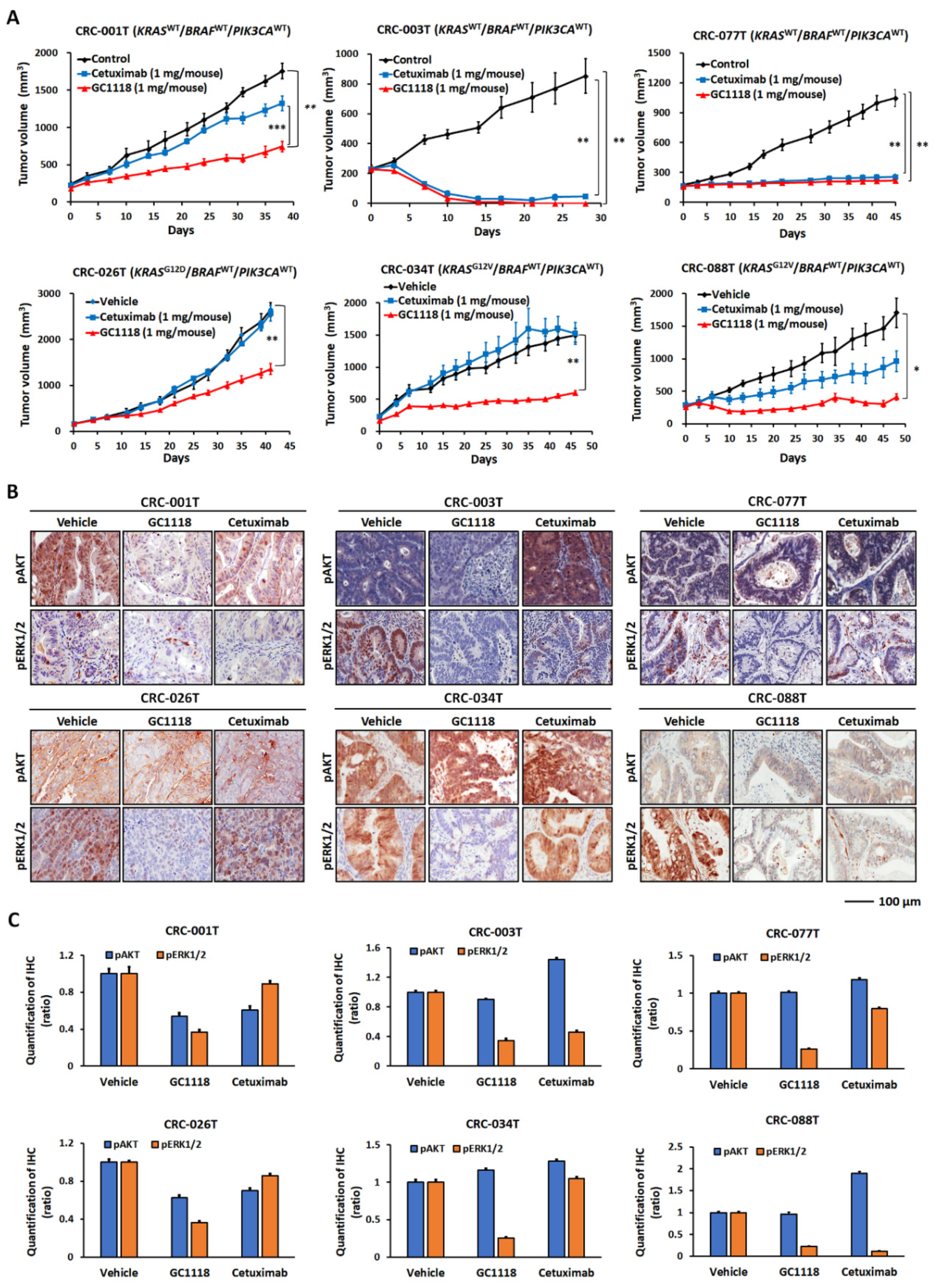 Ijms 20 05894 g003 Ijms 20 05894 g003