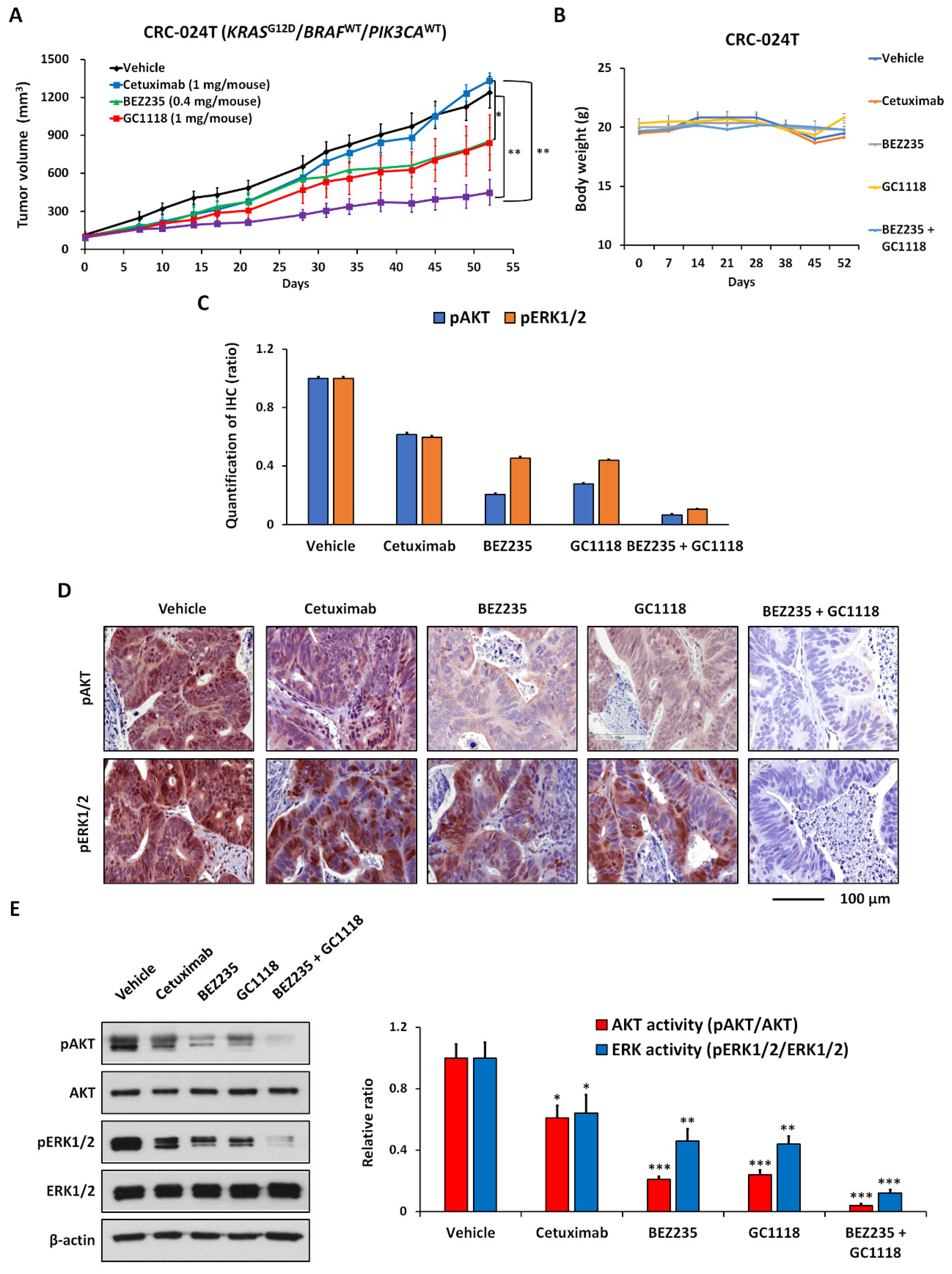 Ijms 20 05894 g005 Ijms 20 05894 g005