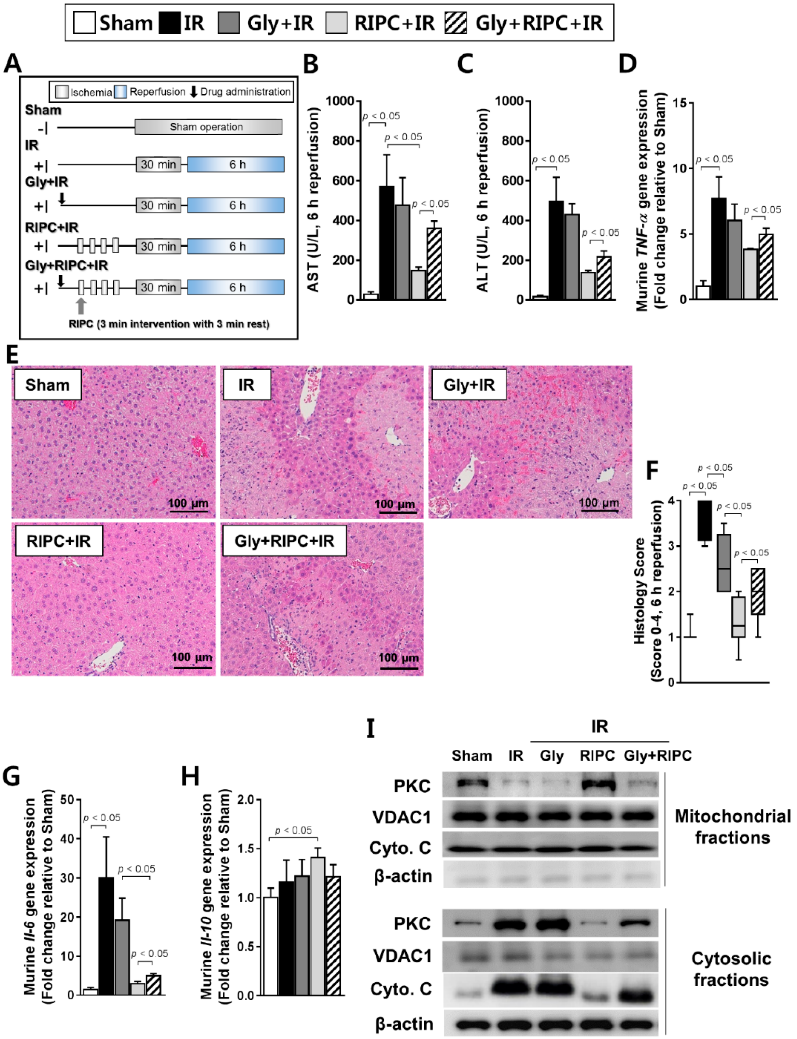 Ijms 20 05899 g002 Ijms 20 05899 g002