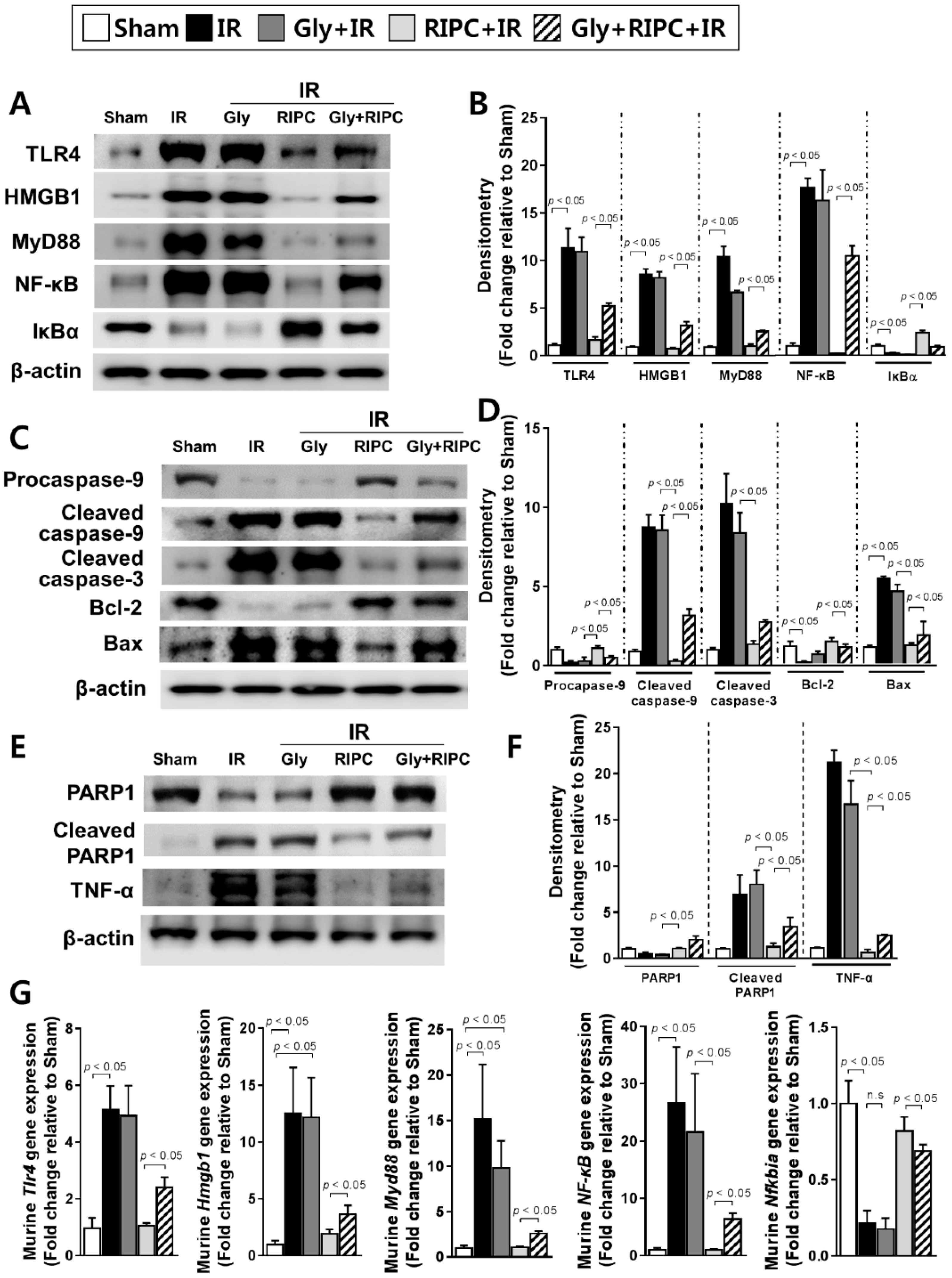 Ijms 20 05899 g003 Ijms 20 05899 g003