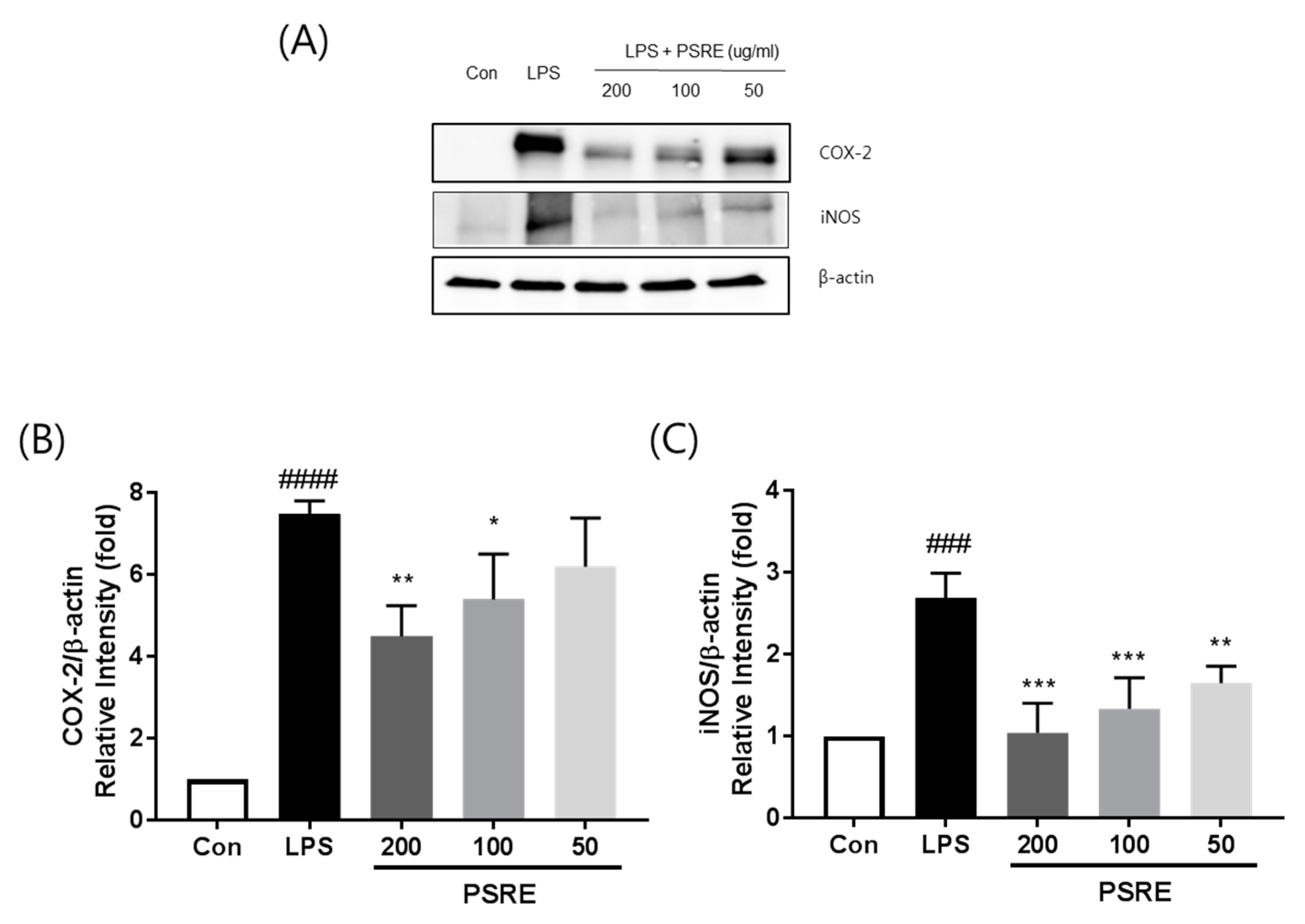 Ijms 20 05907 g004 550