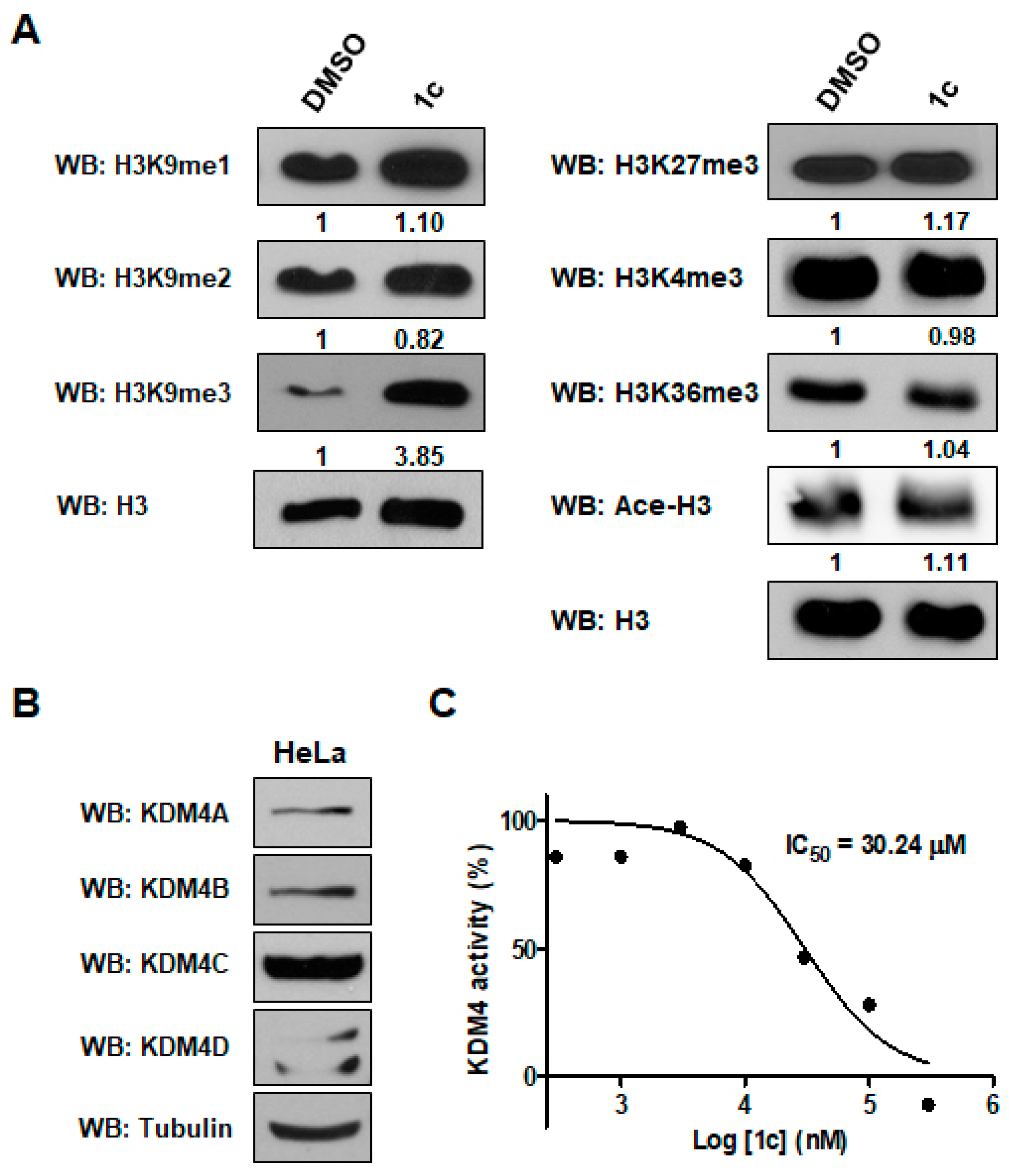 Ijms 20 05908 g003 550