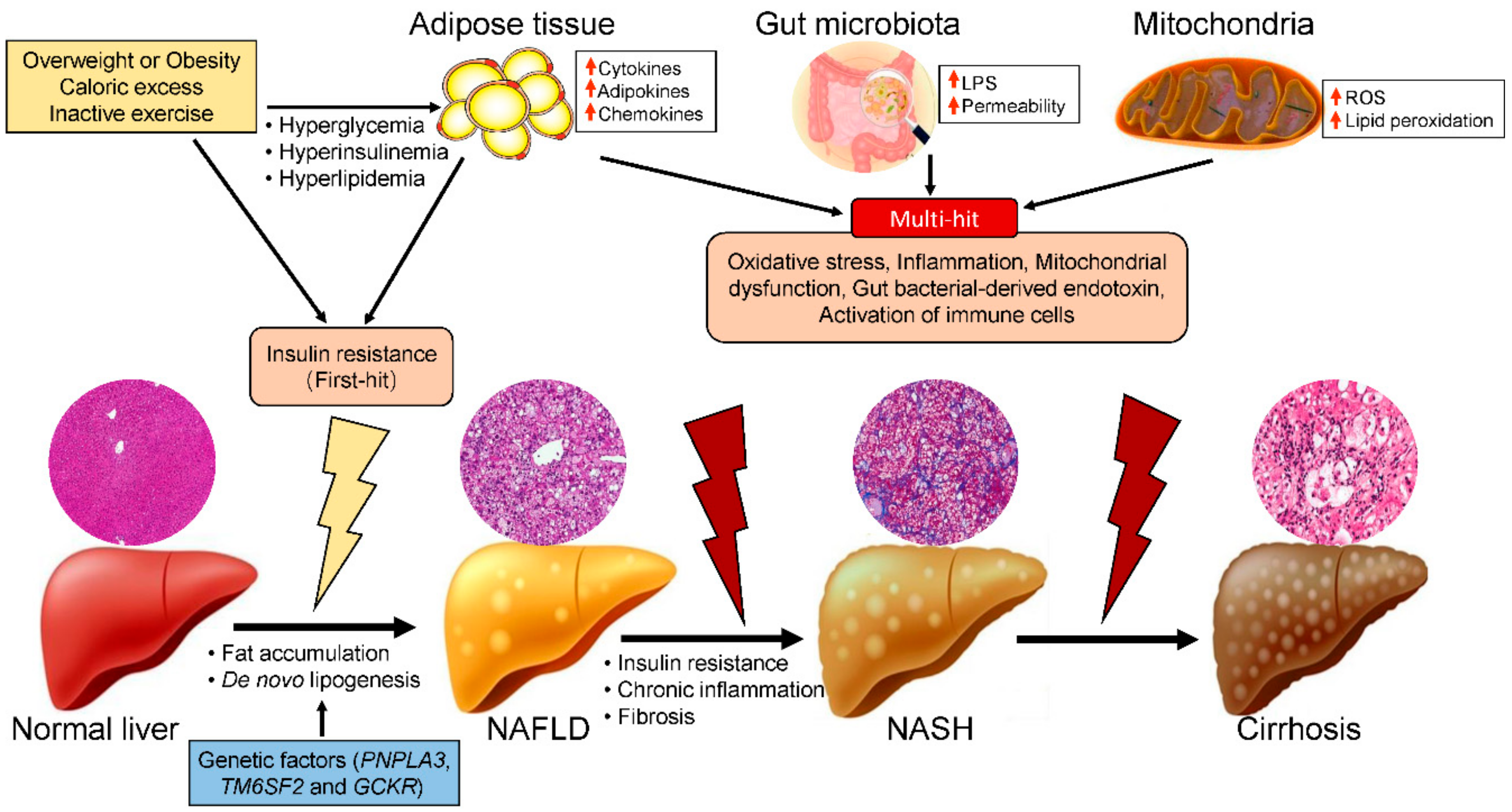 Ijms 20 05920 g001 Ijms 20 05920 g001