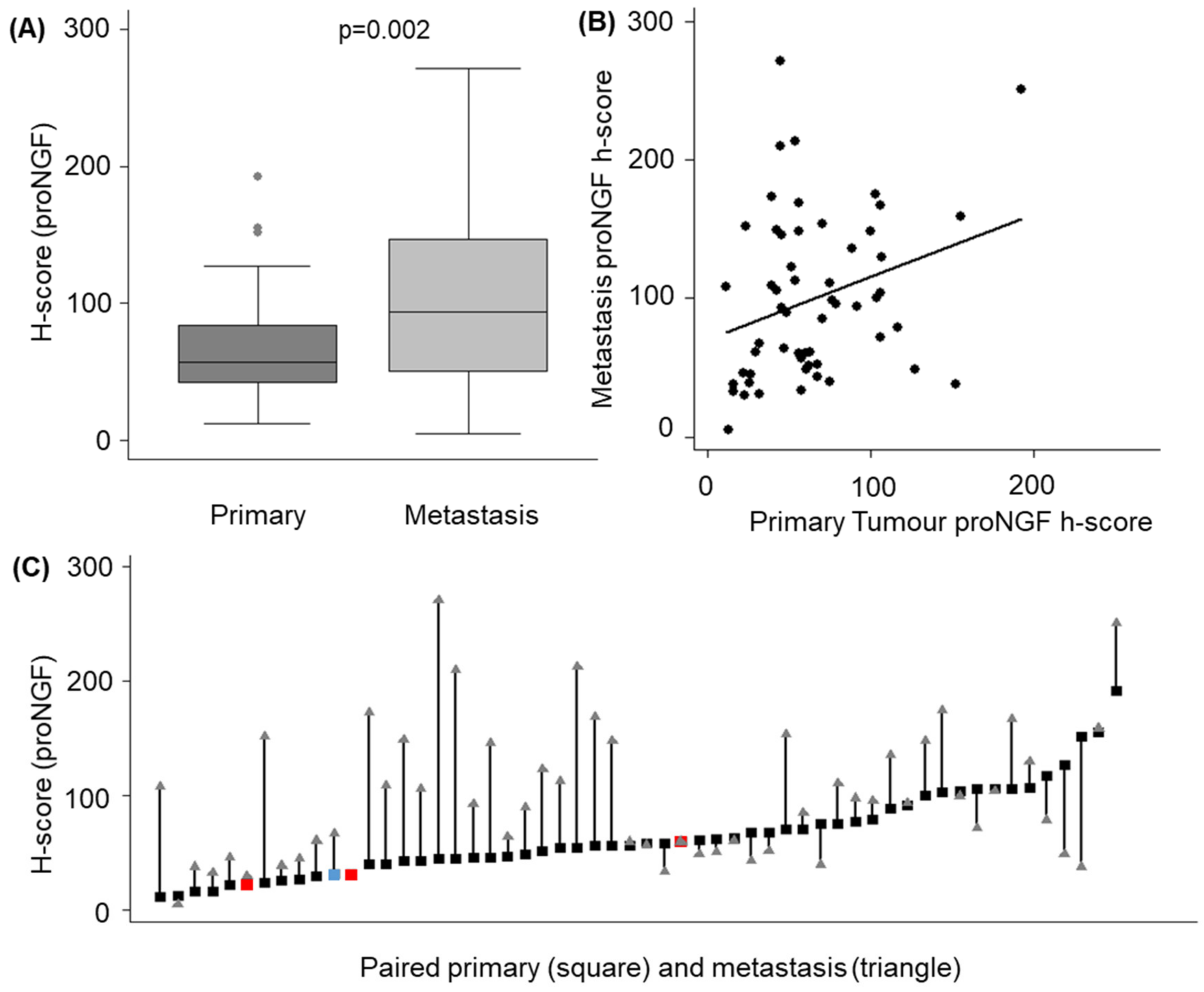Ijms 20 05924 g005 Ijms 20 05924 g005