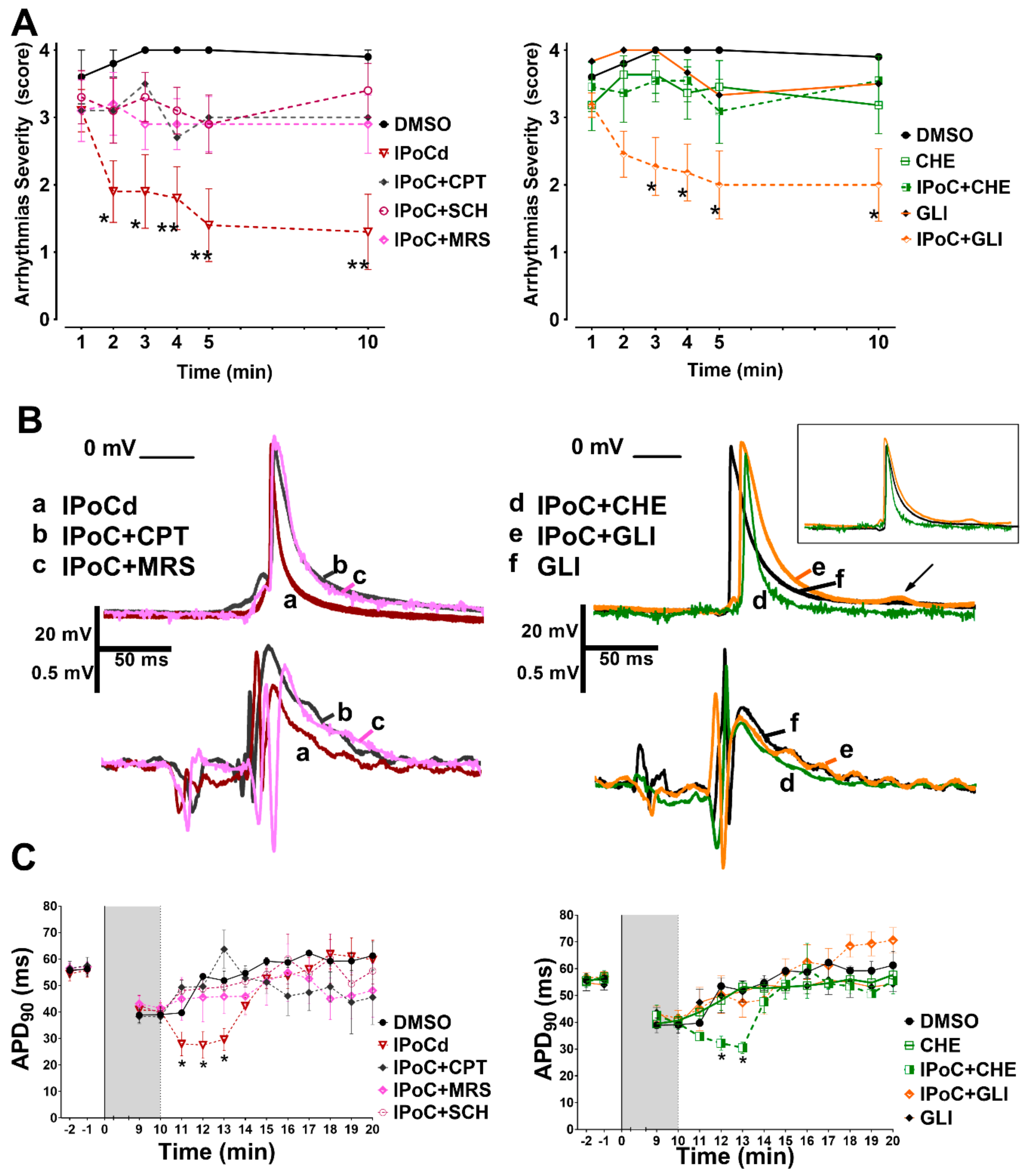 Ijms 20 05927 g005 Ijms 20 05927 g005