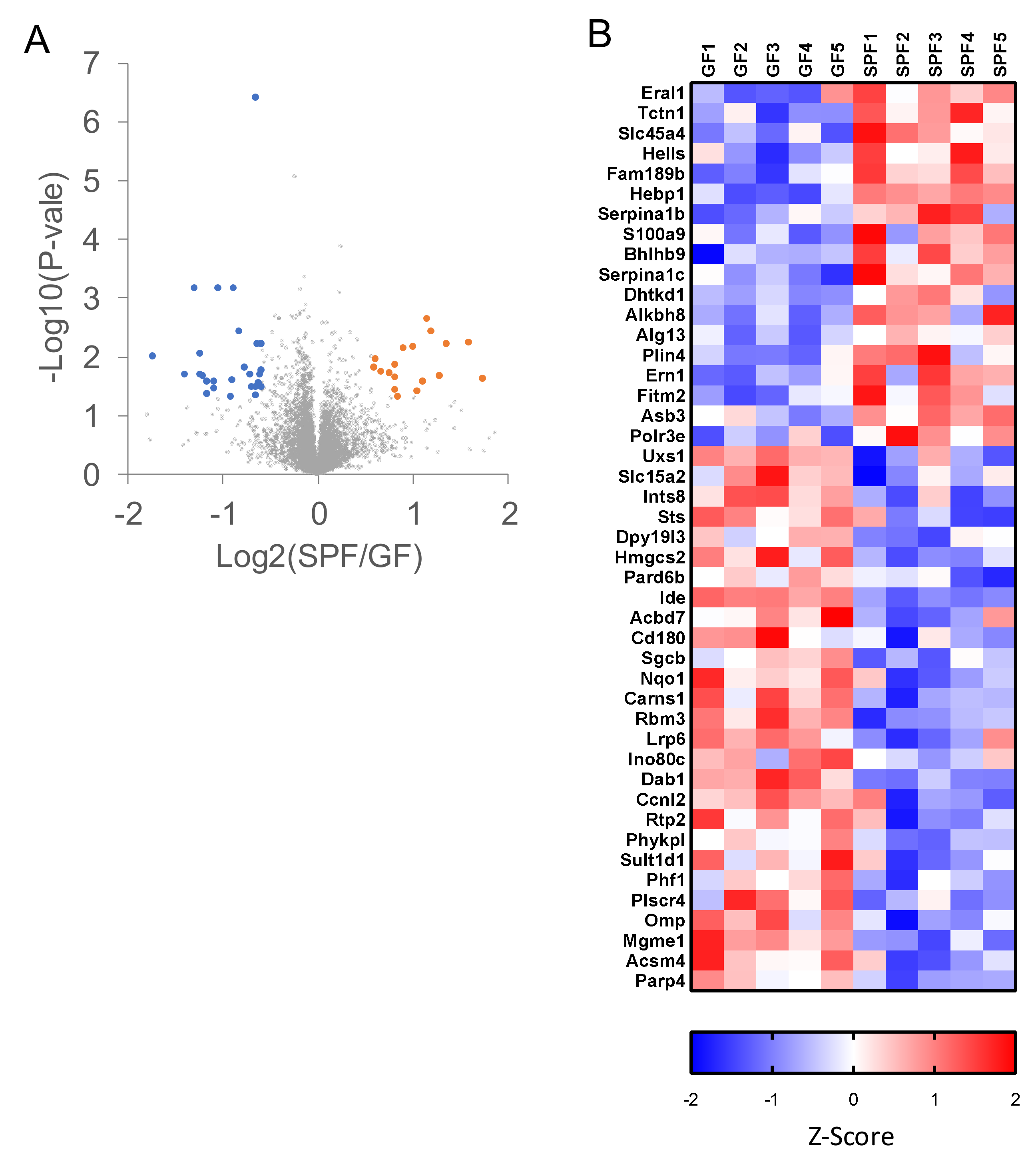 Ijms 20 05932 g006 Ijms 20 05932 g006
