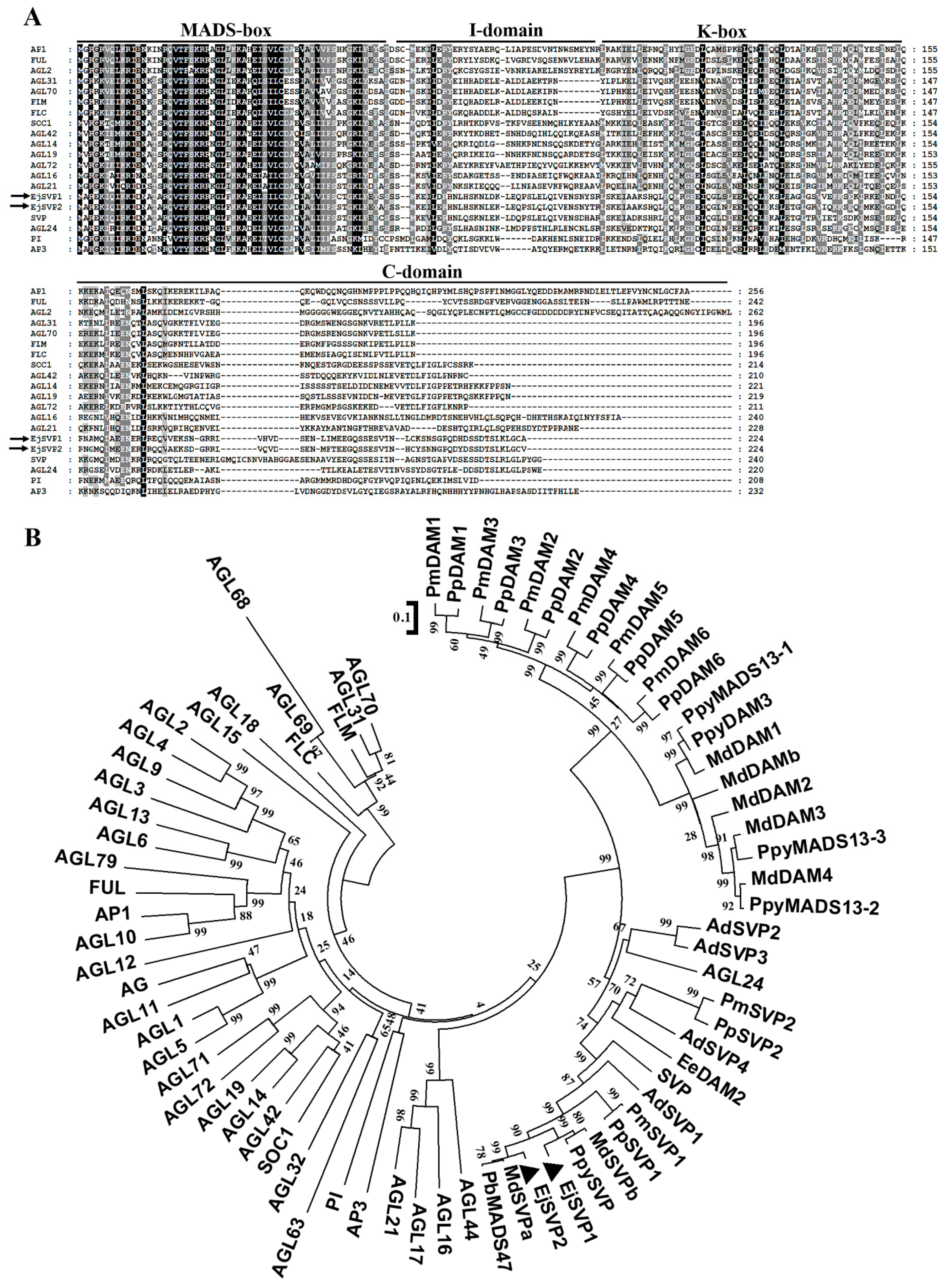 Ijms 20 05933 g001 Ijms 20 05933 g001