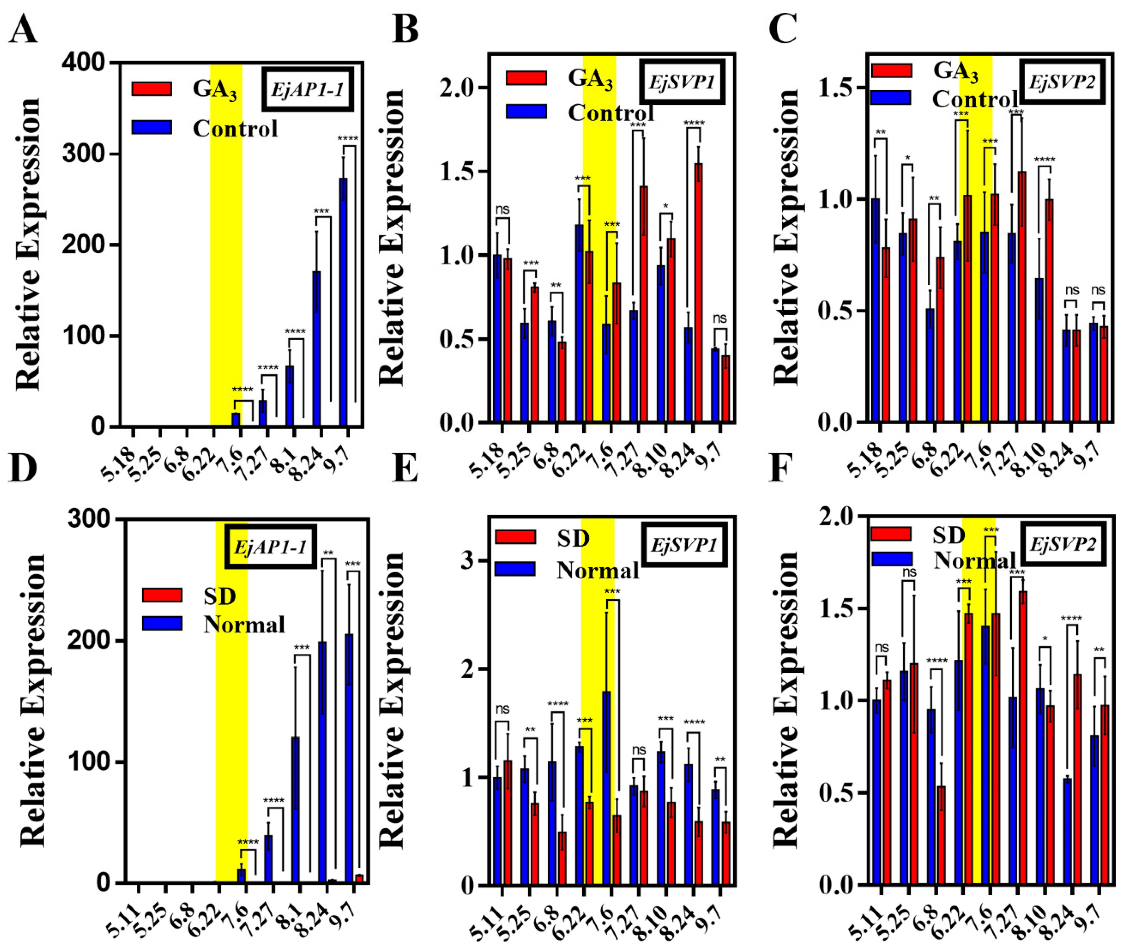 Ijms 20 05933 g004 Ijms 20 05933 g004