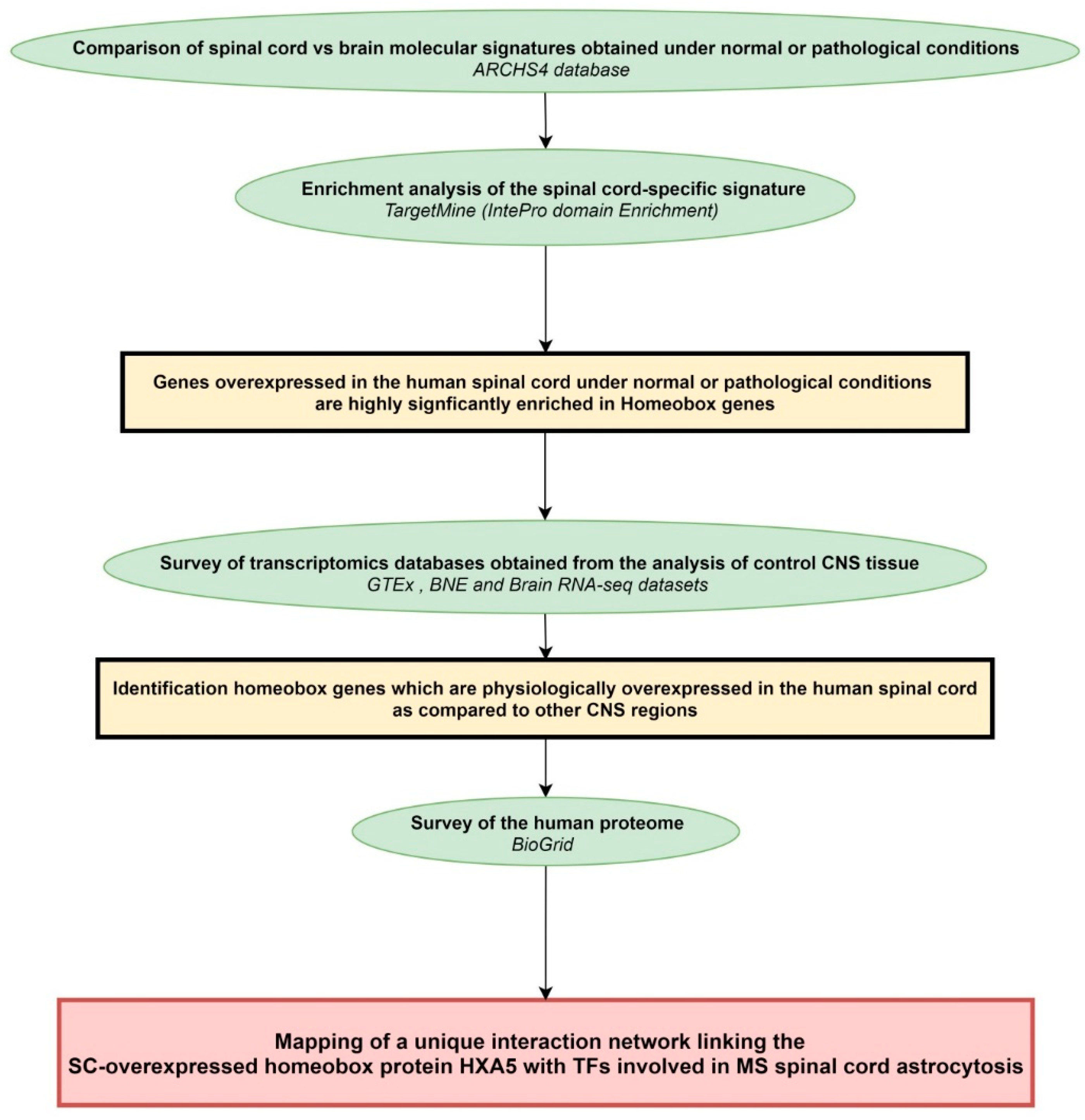 Ijms 20 05934 g004 Ijms 20 05934 g004
