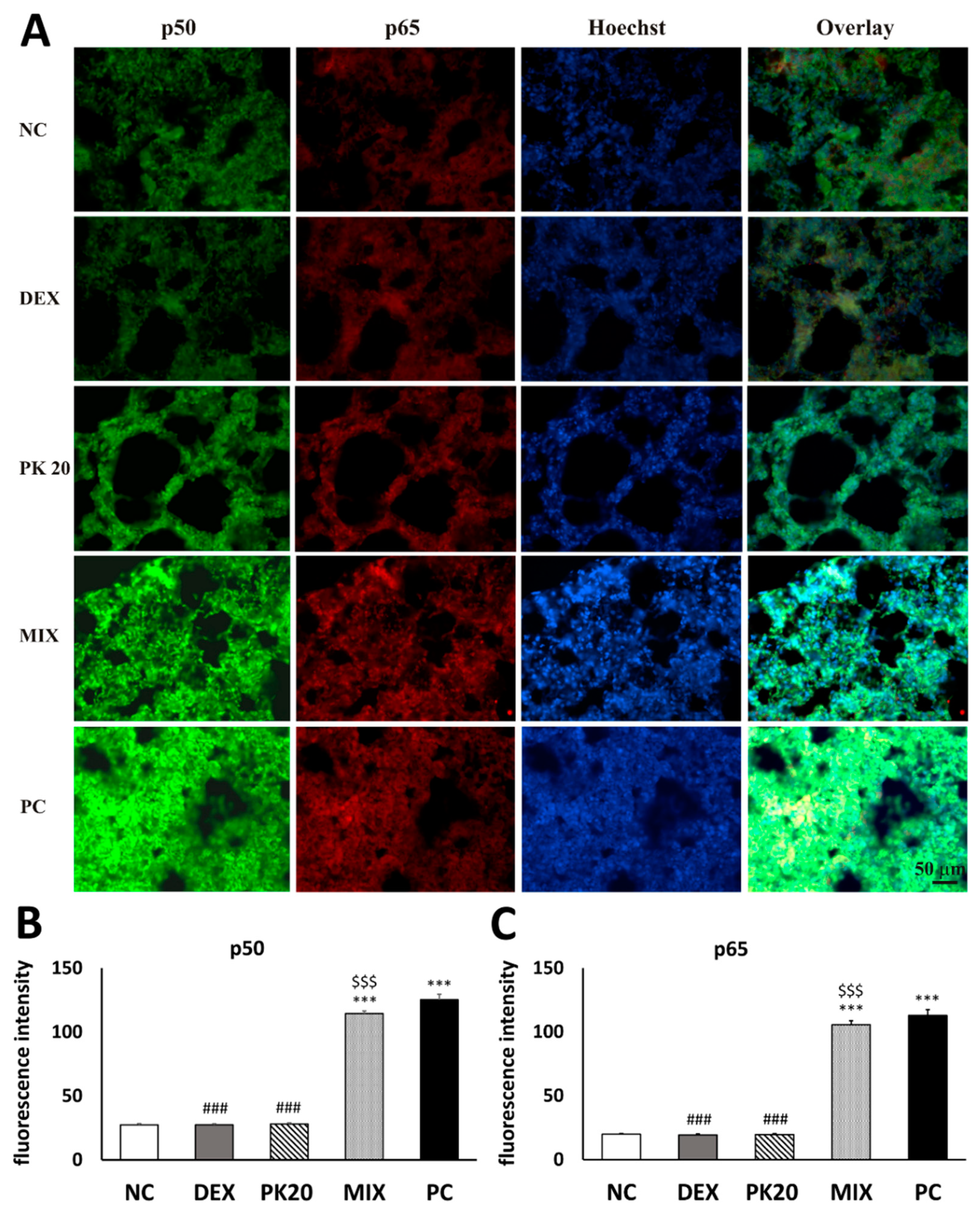Ijms 20 05935 g006 Ijms 20 05935 g006