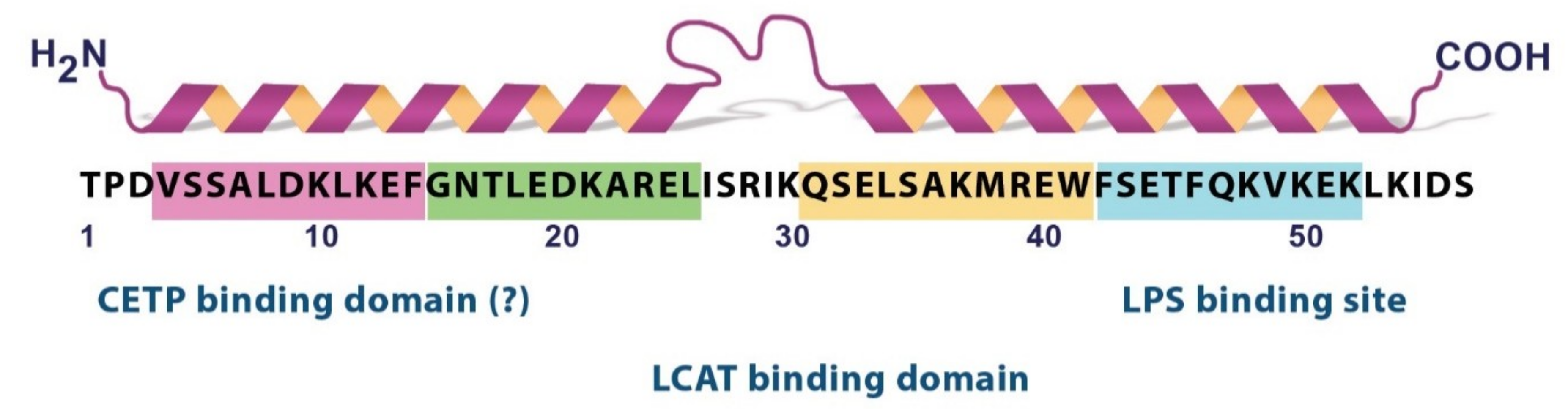 Ijms 20 05939 g002 Ijms 20 05939 g002