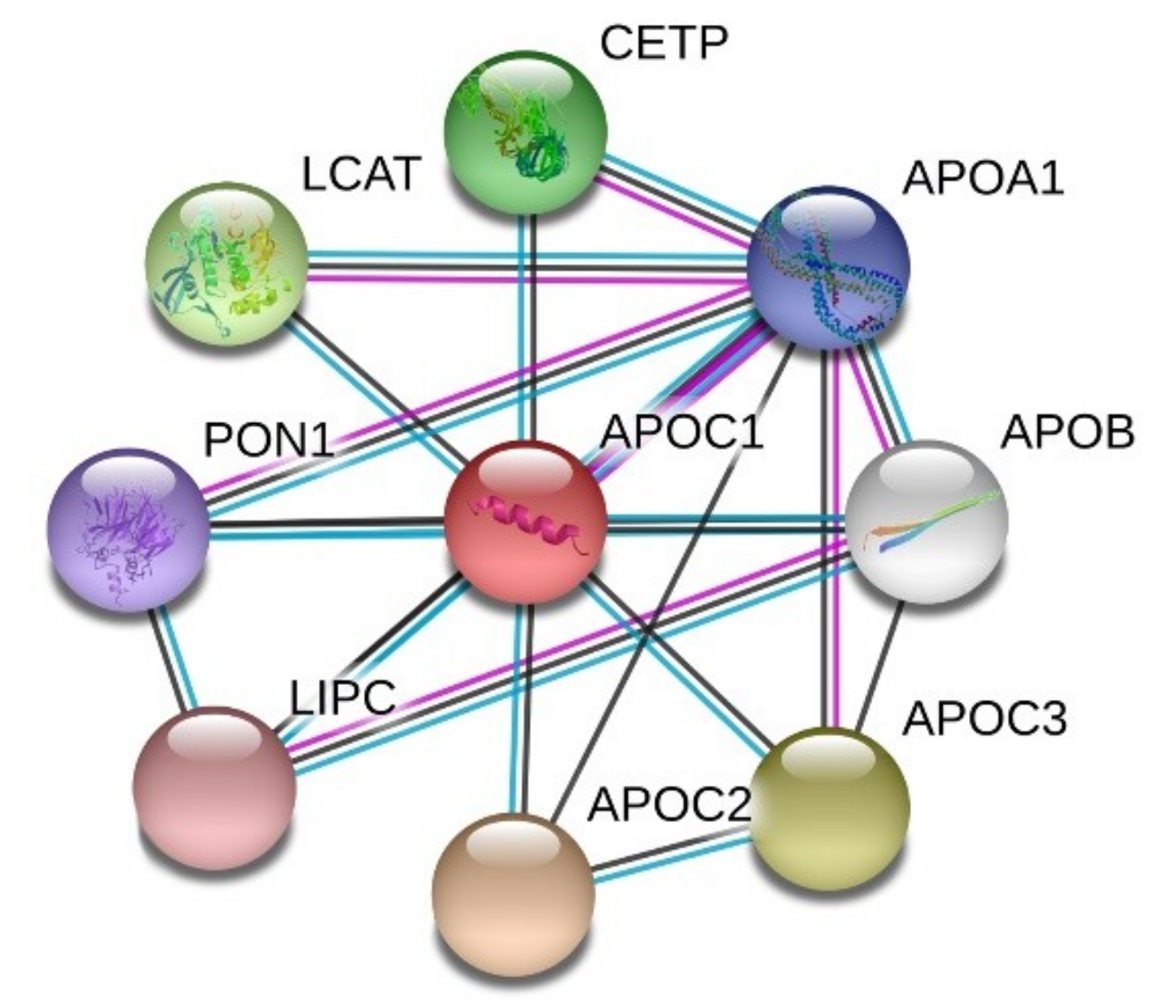 Ijms 20 05939 g003 Ijms 20 05939 g003