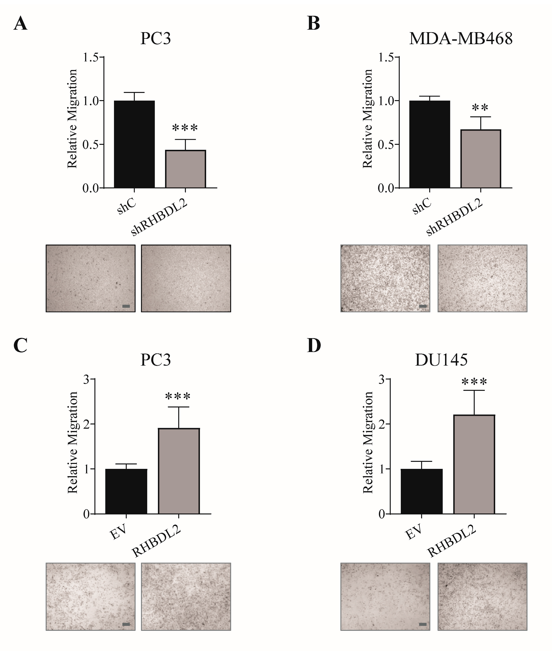 Ijms 20 05958 g001 Ijms 20 05958 g001