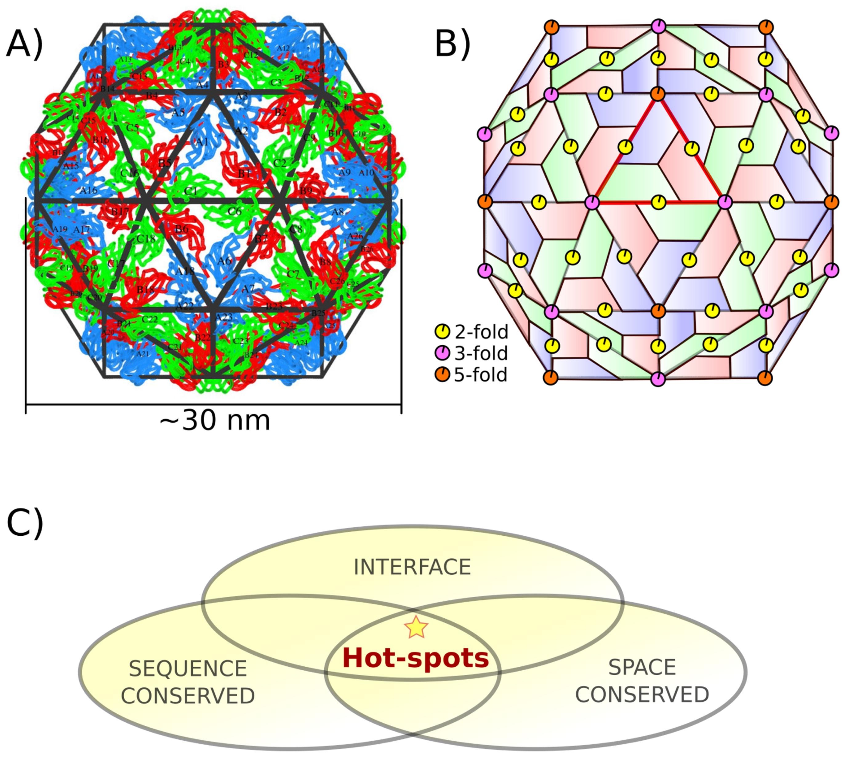 Ijms 20 05966 g001 Ijms 20 05966 g001