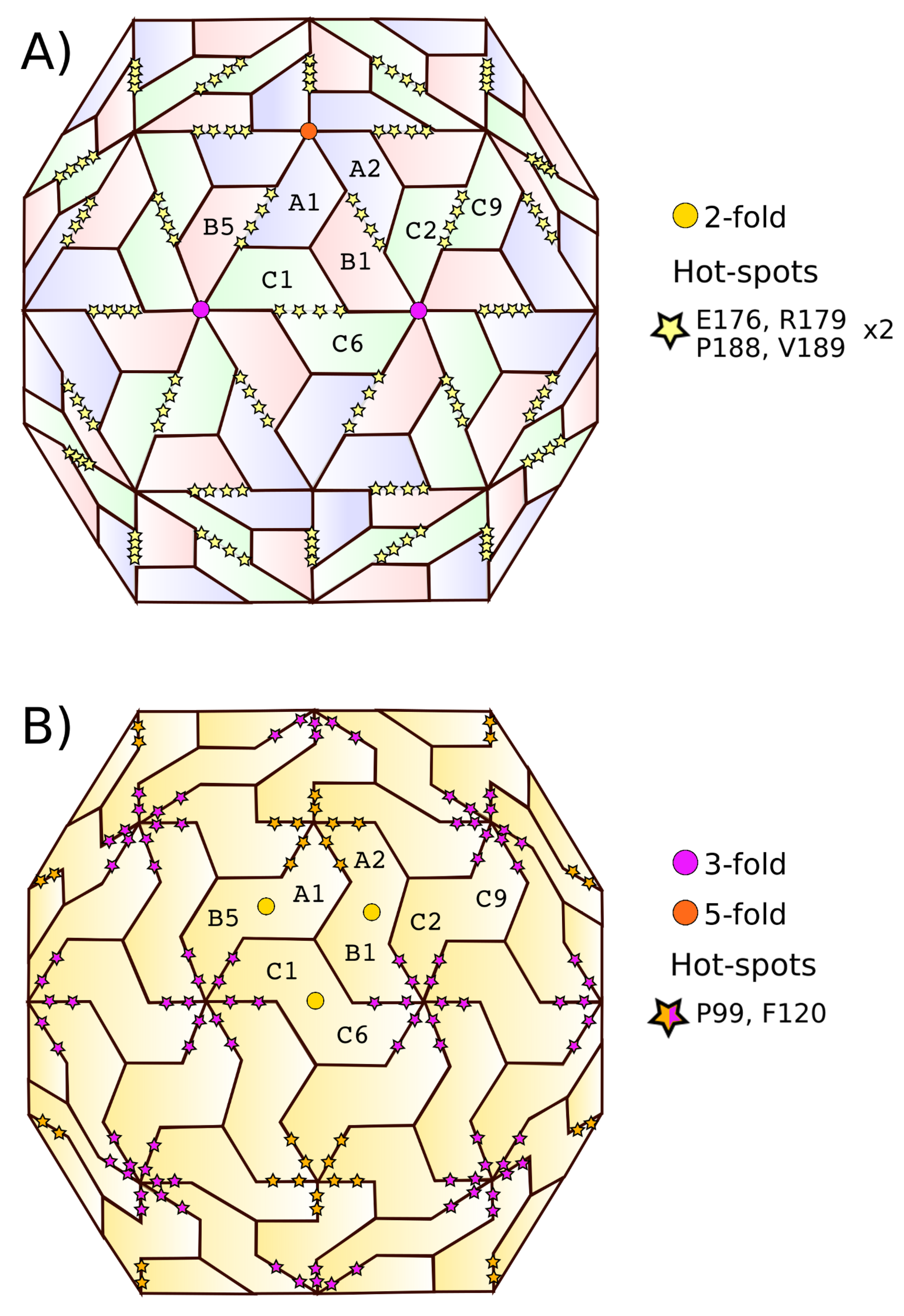 Ijms 20 05966 g002 Ijms 20 05966 g002