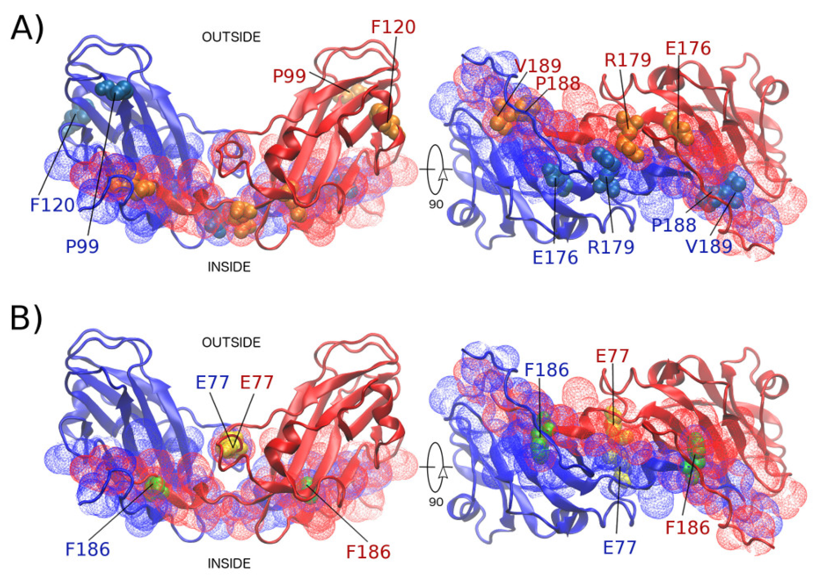 Ijms 20 05966 g004 Ijms 20 05966 g004