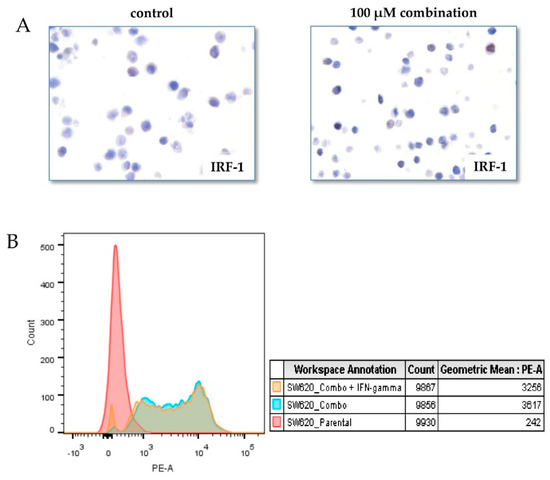 人気ブランドからコーディネートを探す Tumor PD-L1 Induction by Resveratrol/Piceatannol May 小物