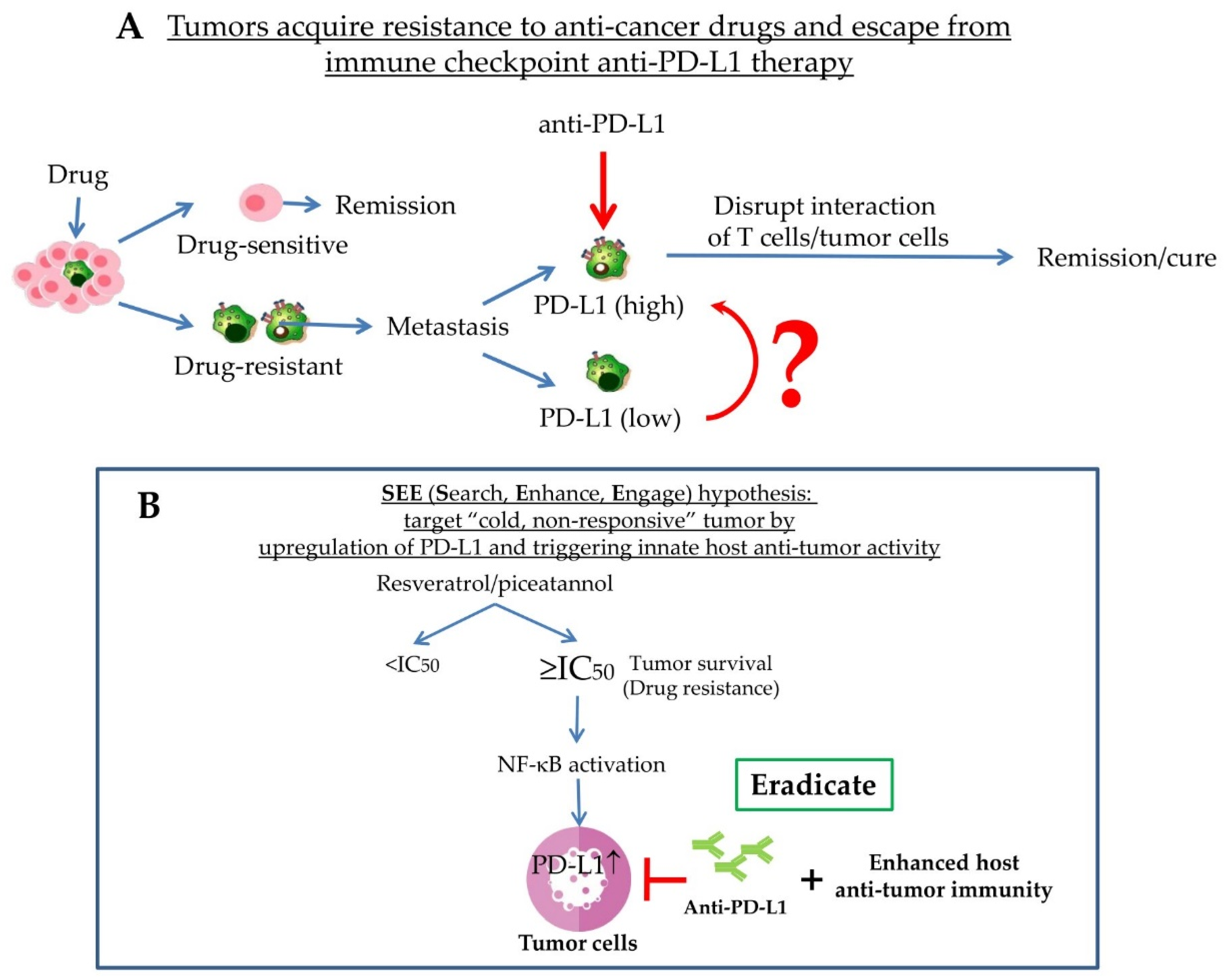 Ijms 20 05969 g002 Ijms 20 05969 g002