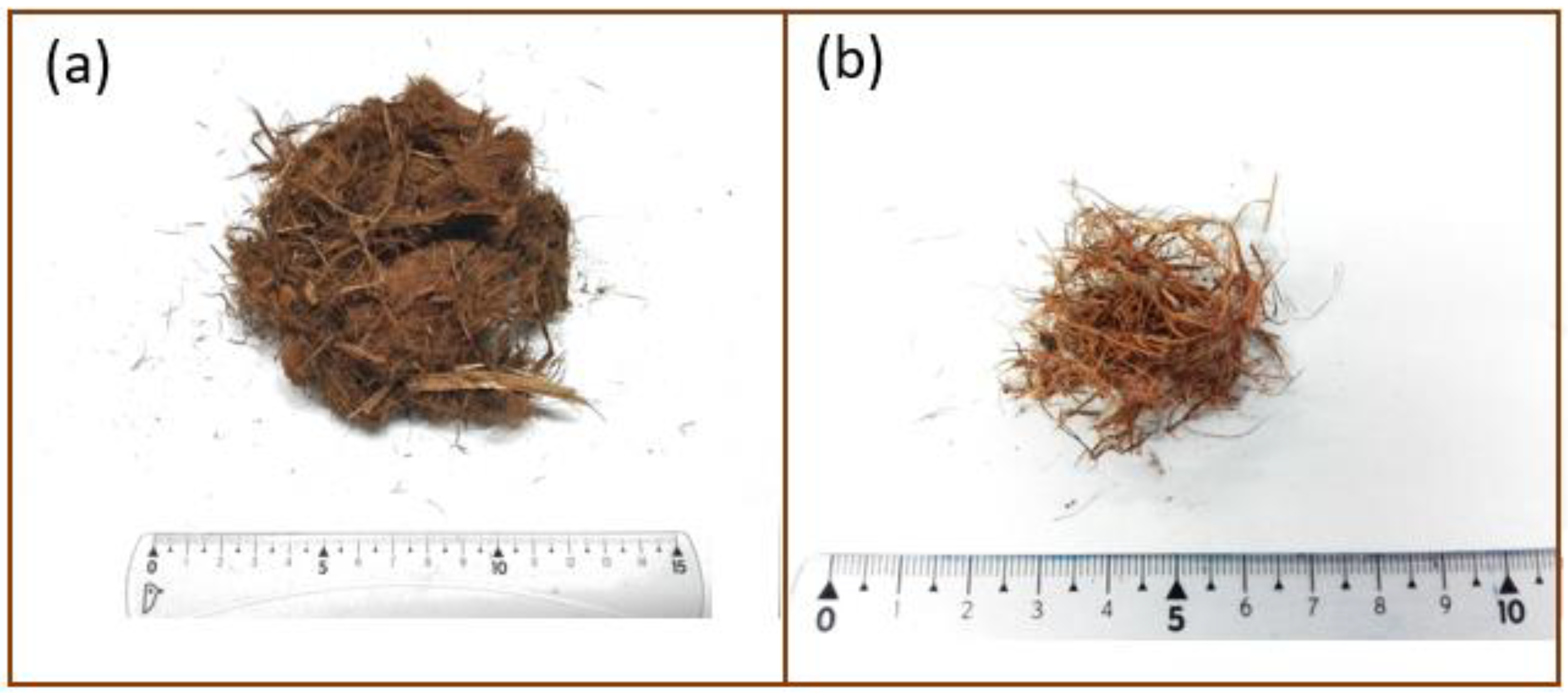 Ijms 20 05973 g007 550