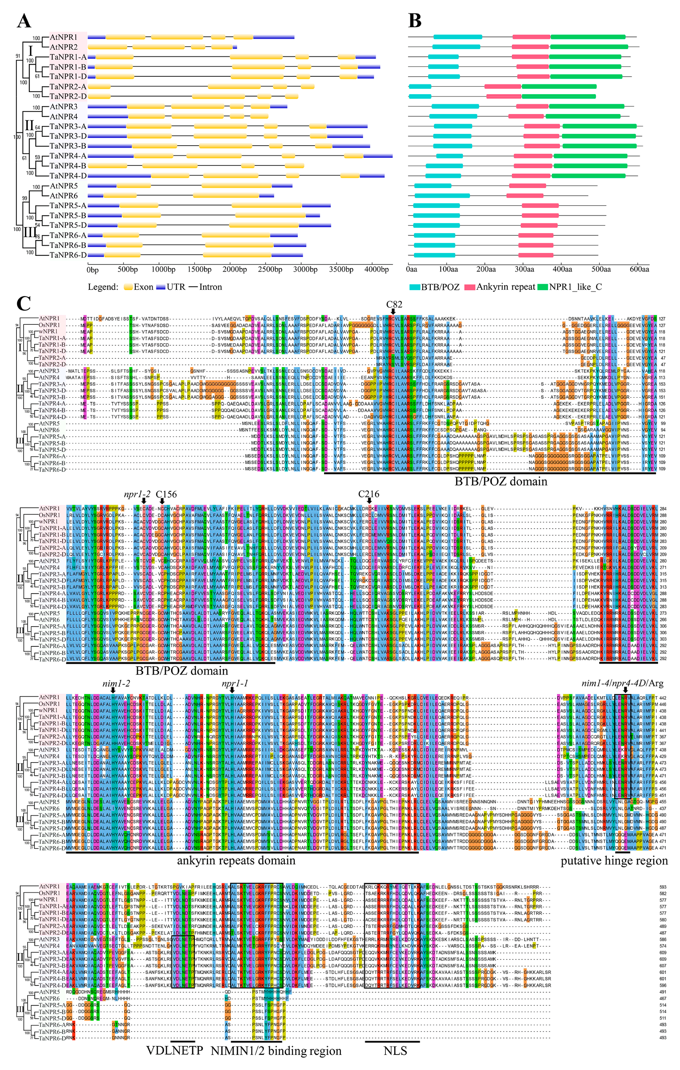 Ijms 20 05974 g002 Ijms 20 05974 g002