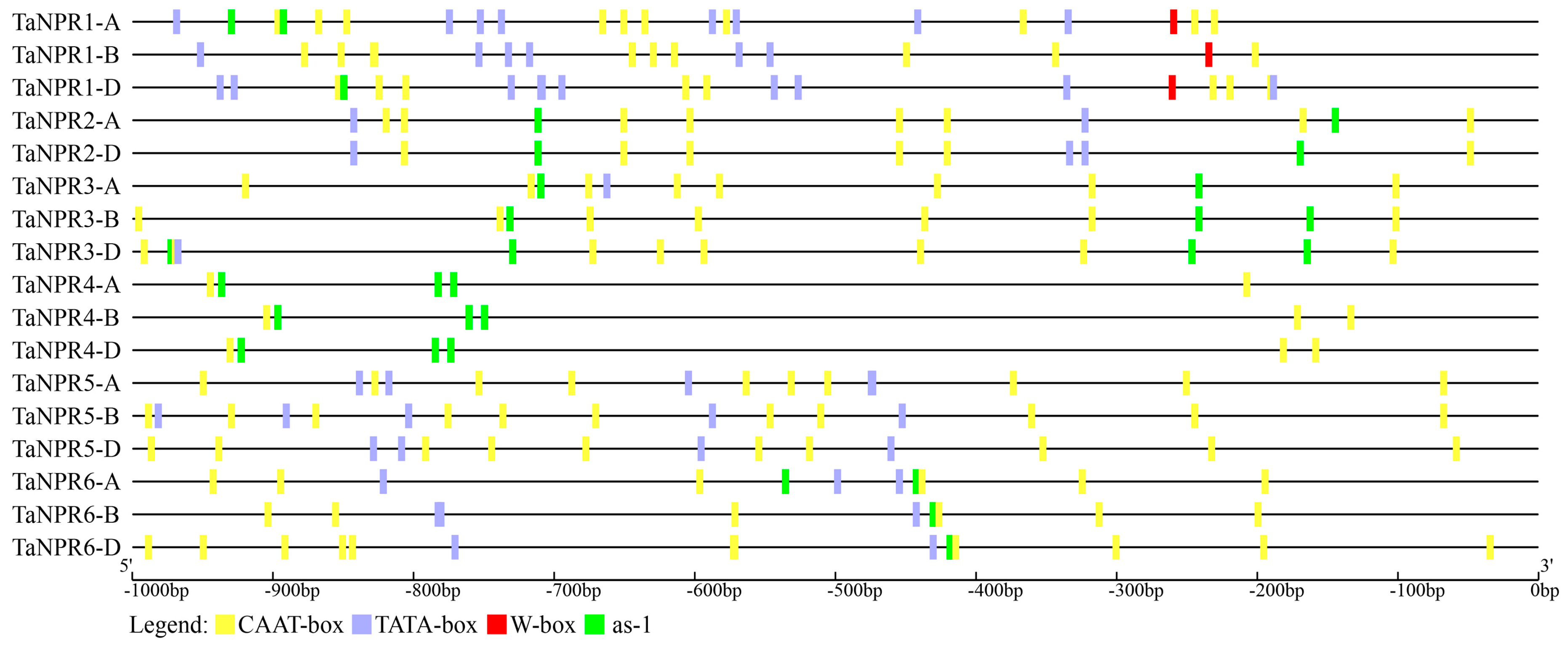 Ijms 20 05974 g003 Ijms 20 05974 g003