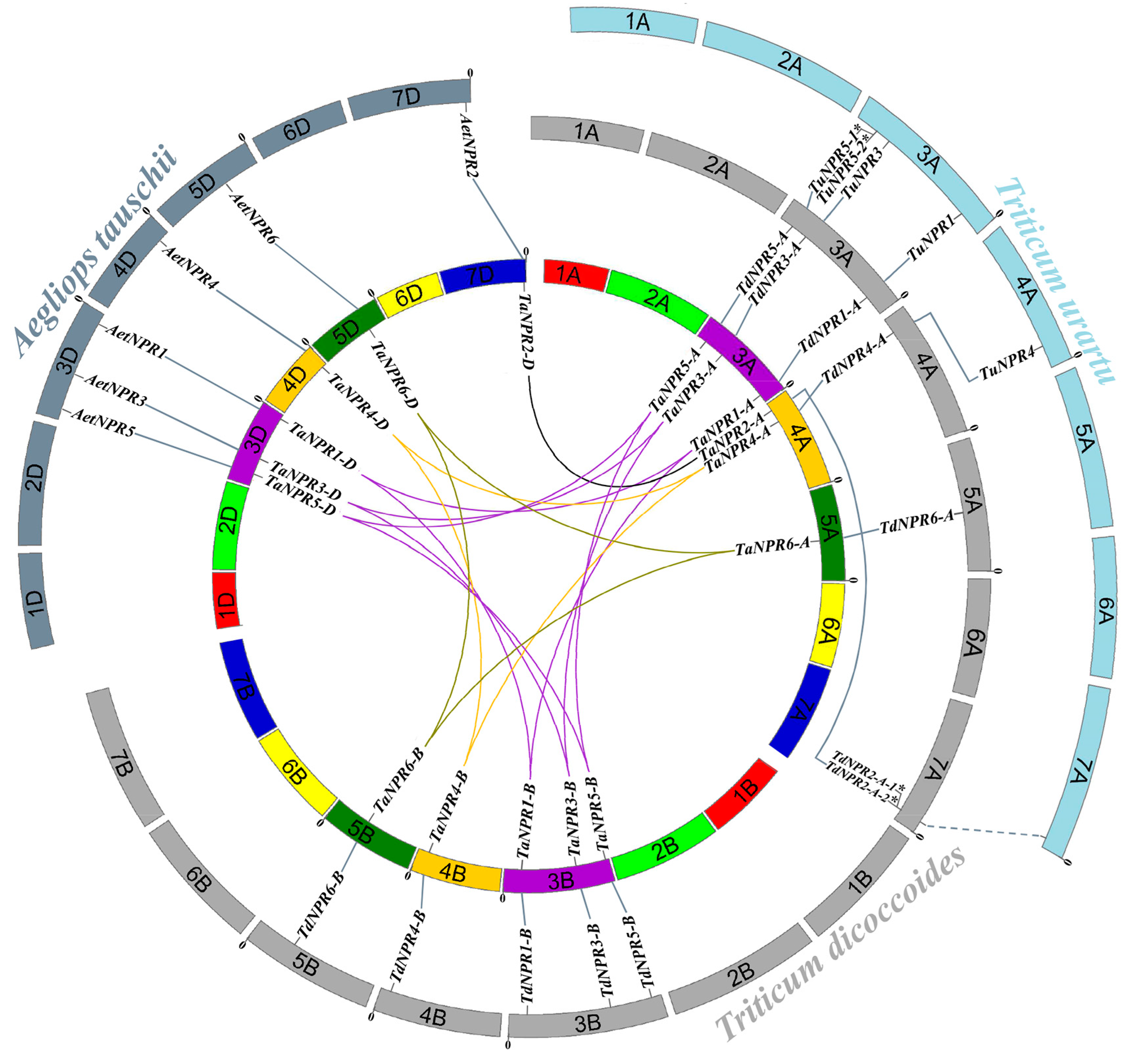 Ijms 20 05974 g004 Ijms 20 05974 g004