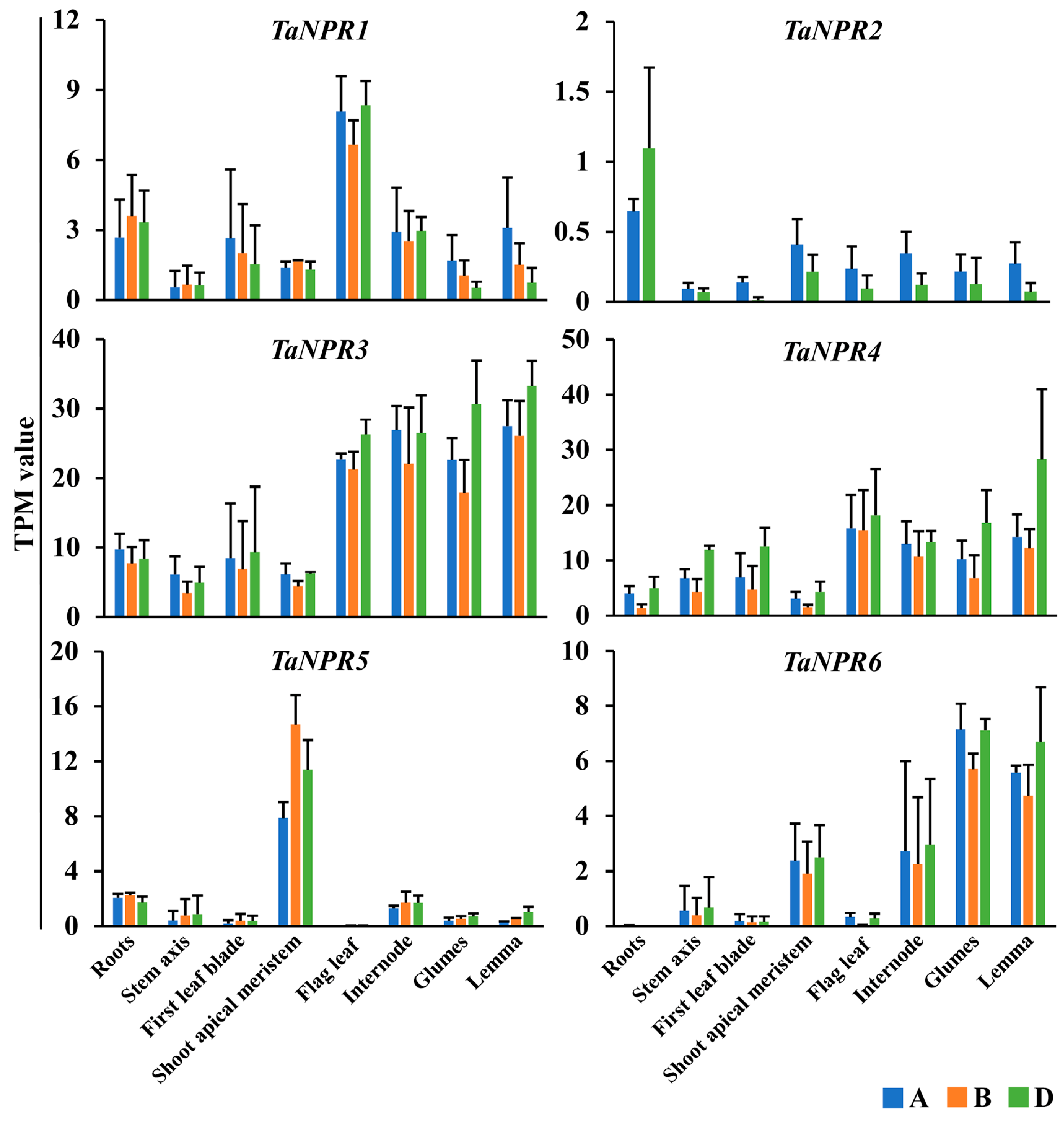 Ijms 20 05974 g005 Ijms 20 05974 g005