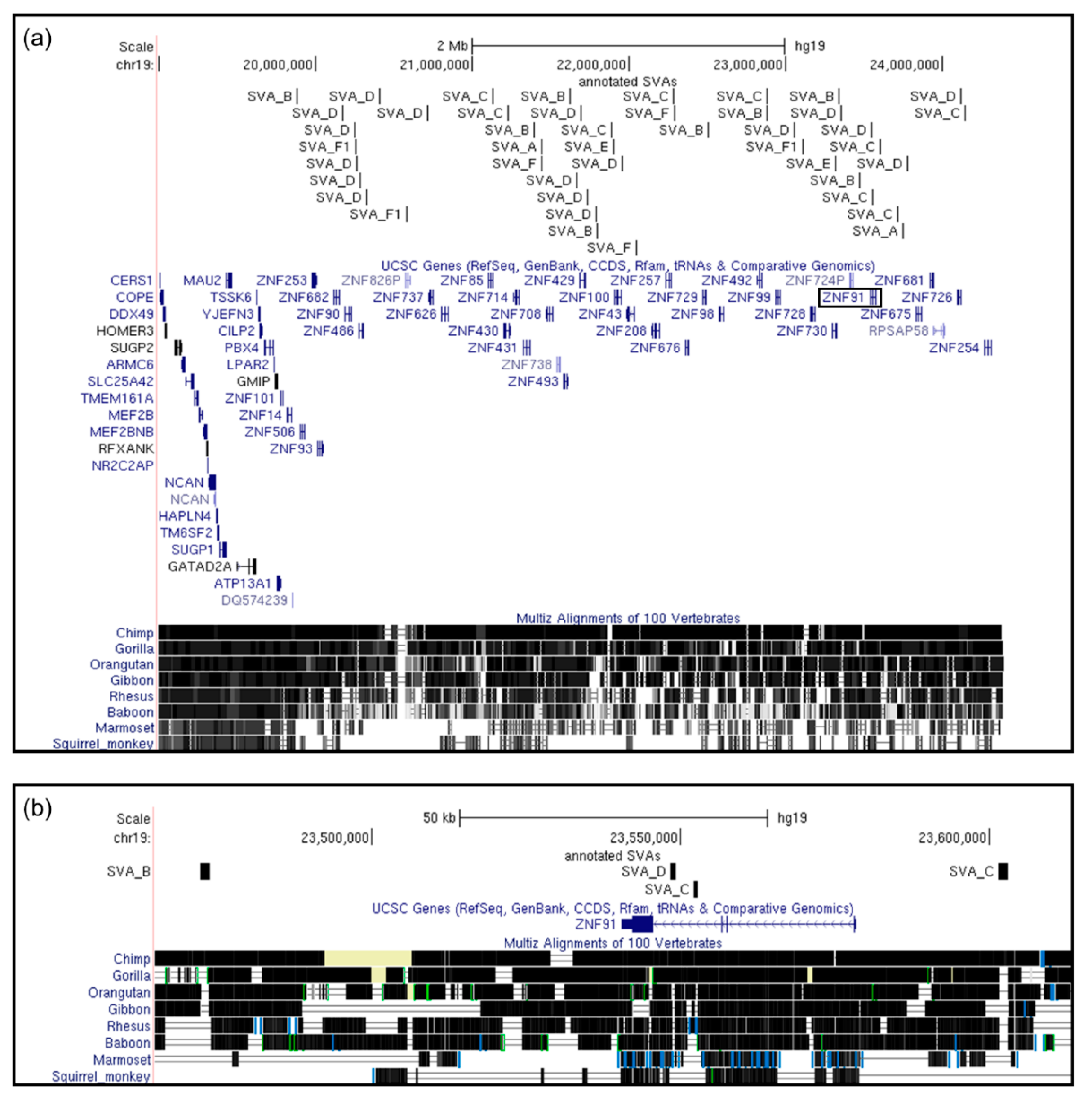 Ijms 20 05977 g003 Ijms 20 05977 g003
