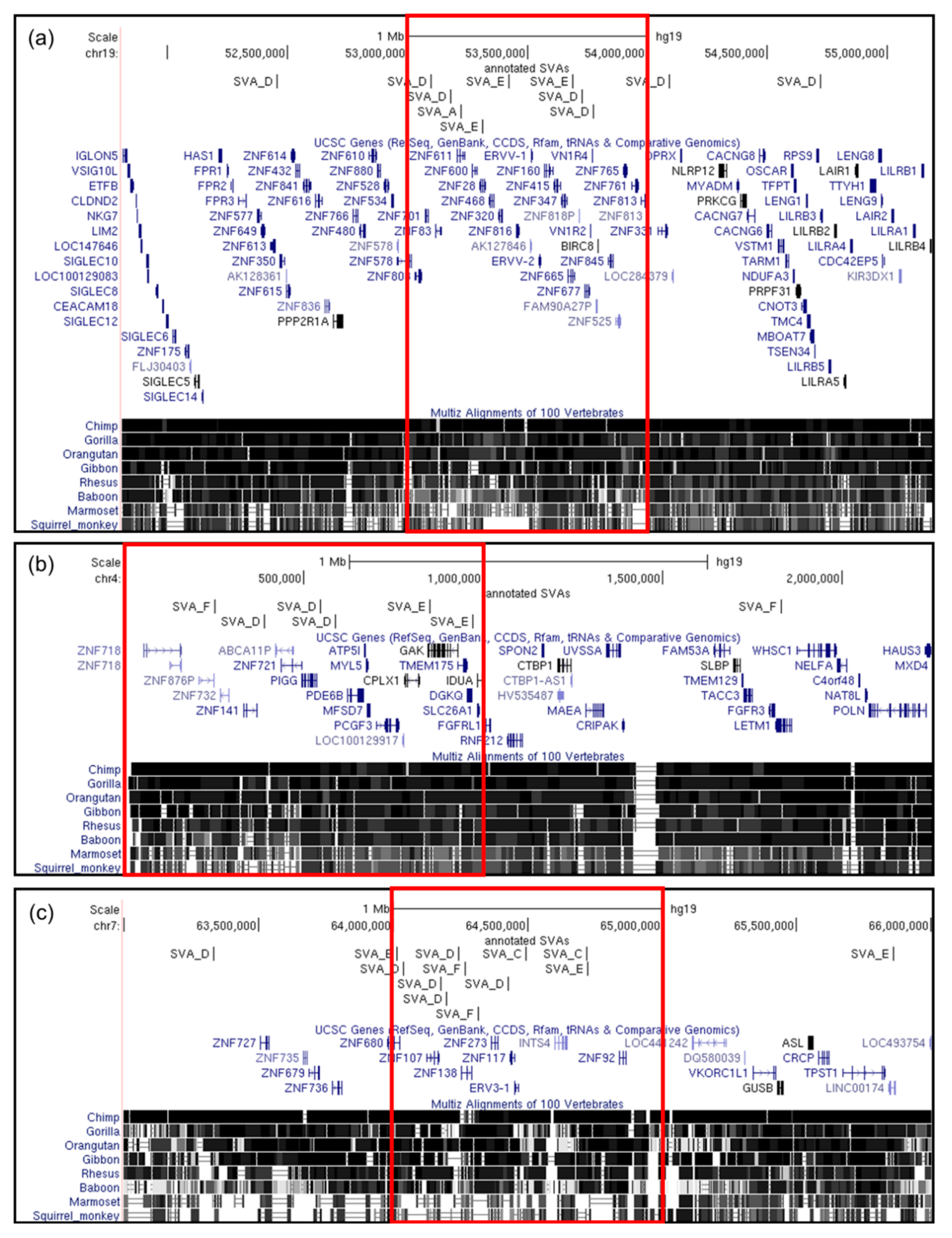 Ijms 20 05977 g004 Ijms 20 05977 g004