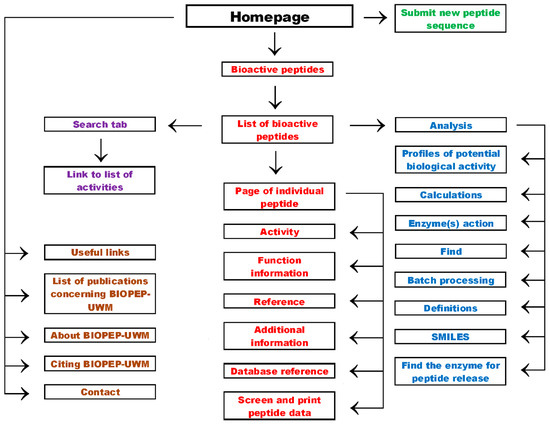 BIOPEP-UWM Database of Bioactive Peptides: Current Opportunities
