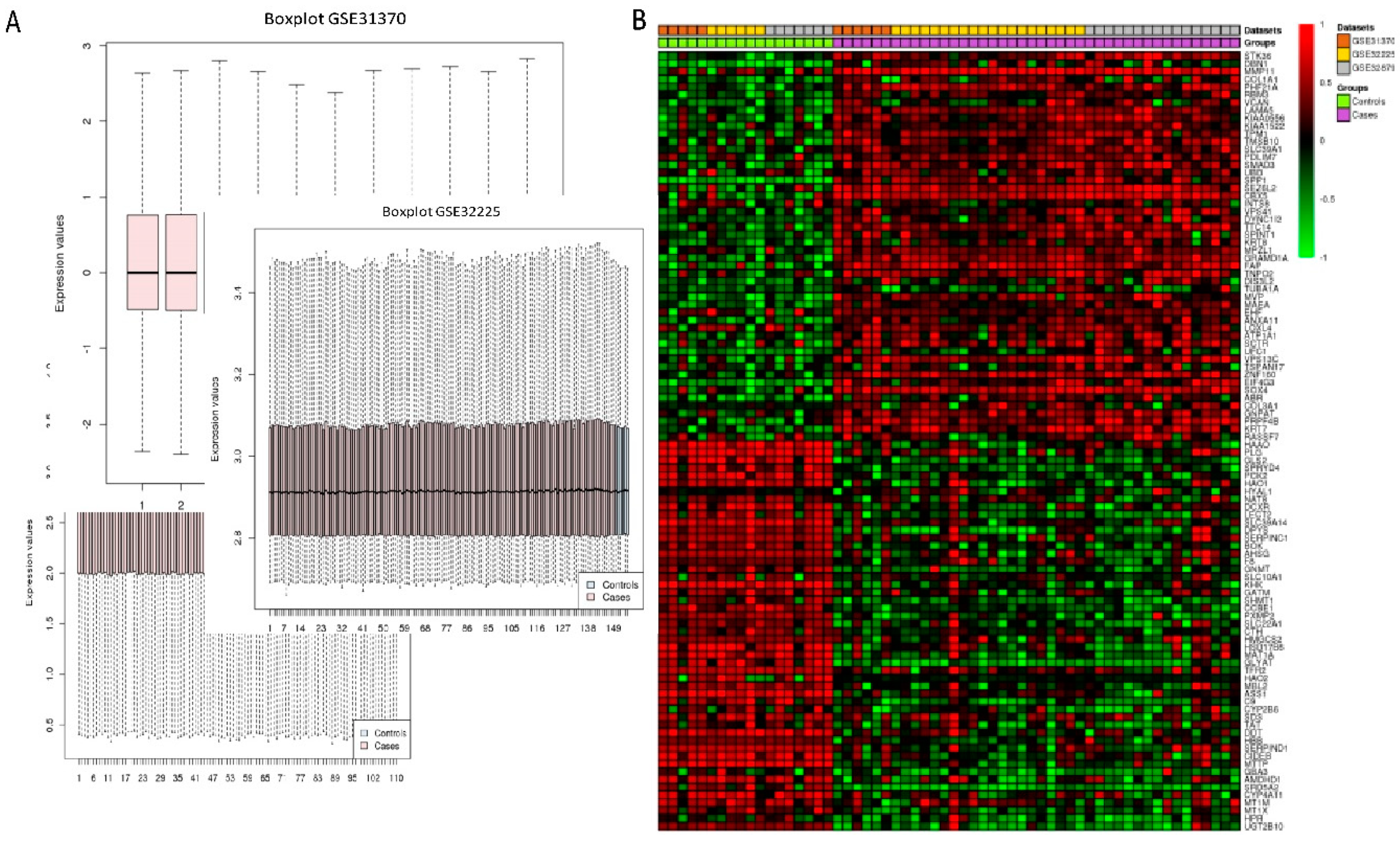Ijms 20 05987 g002 550