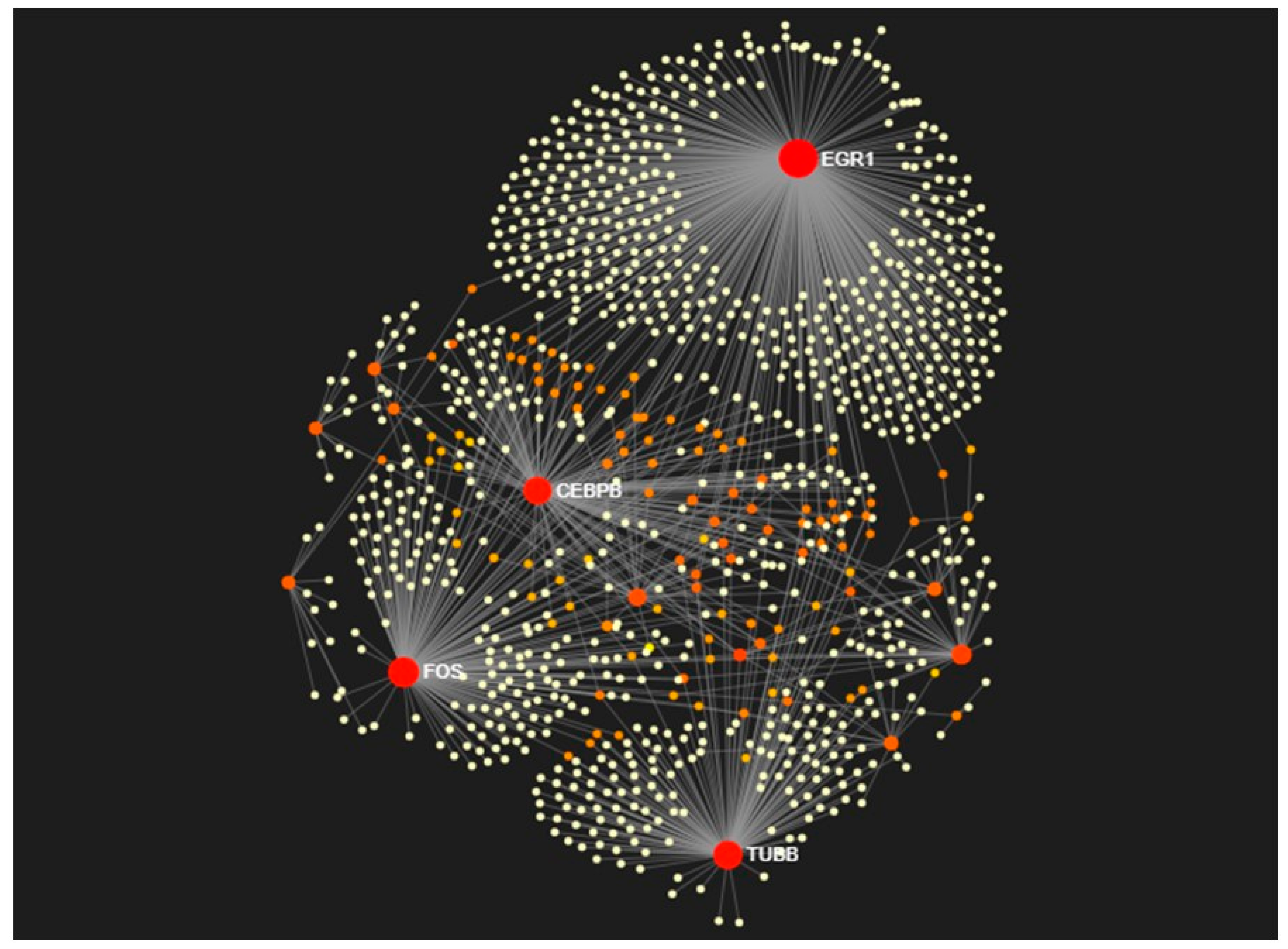 Ijms 20 05987 g006 550