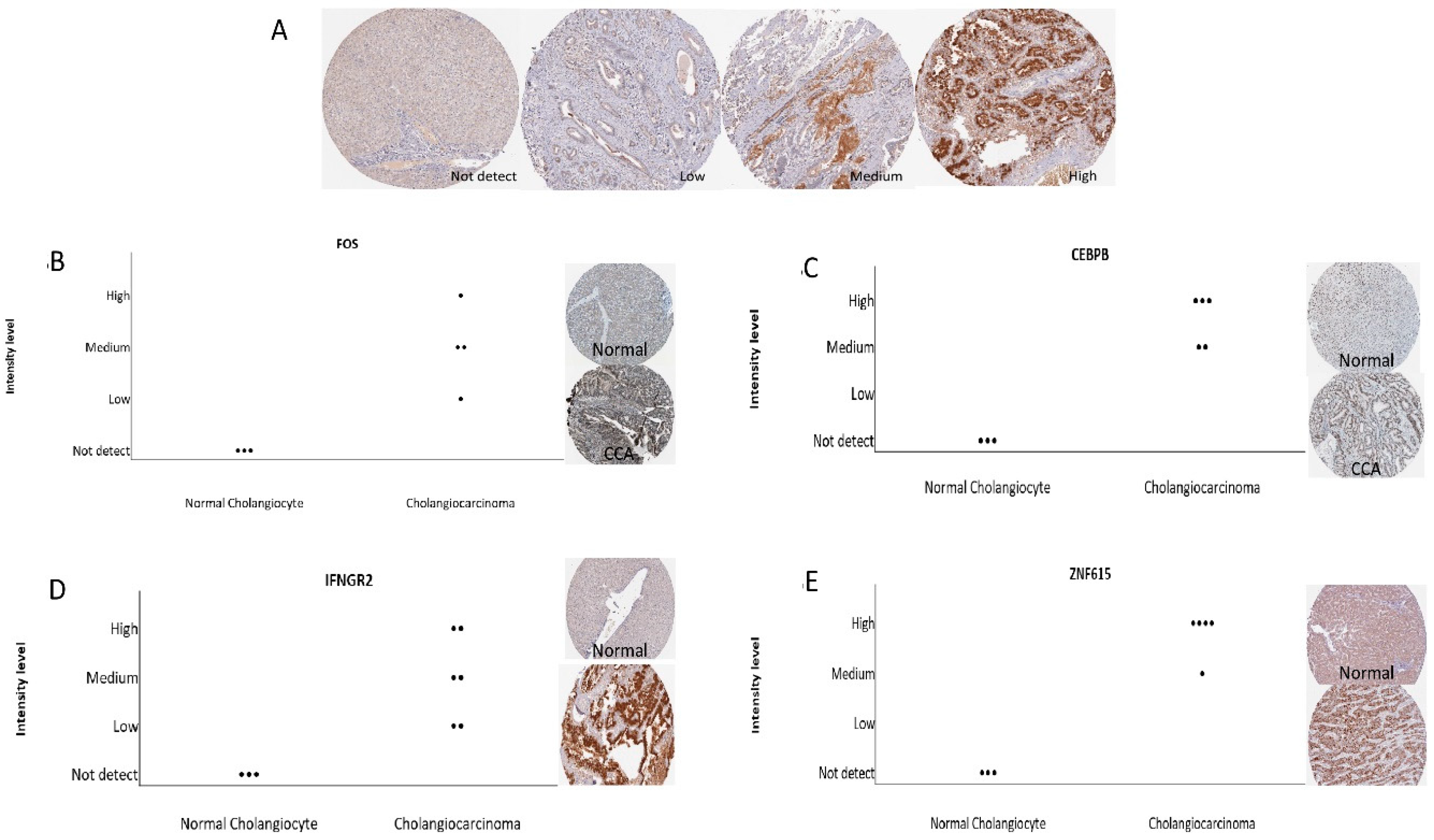 Ijms 20 05987 g008 550