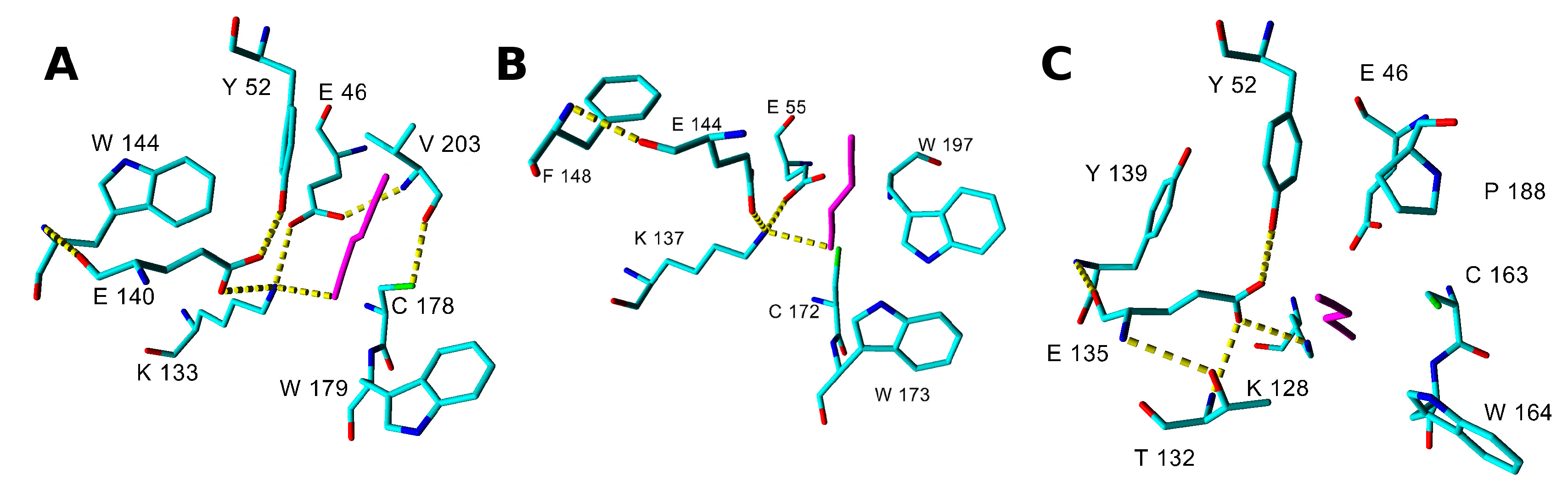 Ijms 20 05990 g004 Ijms 20 05990 g004