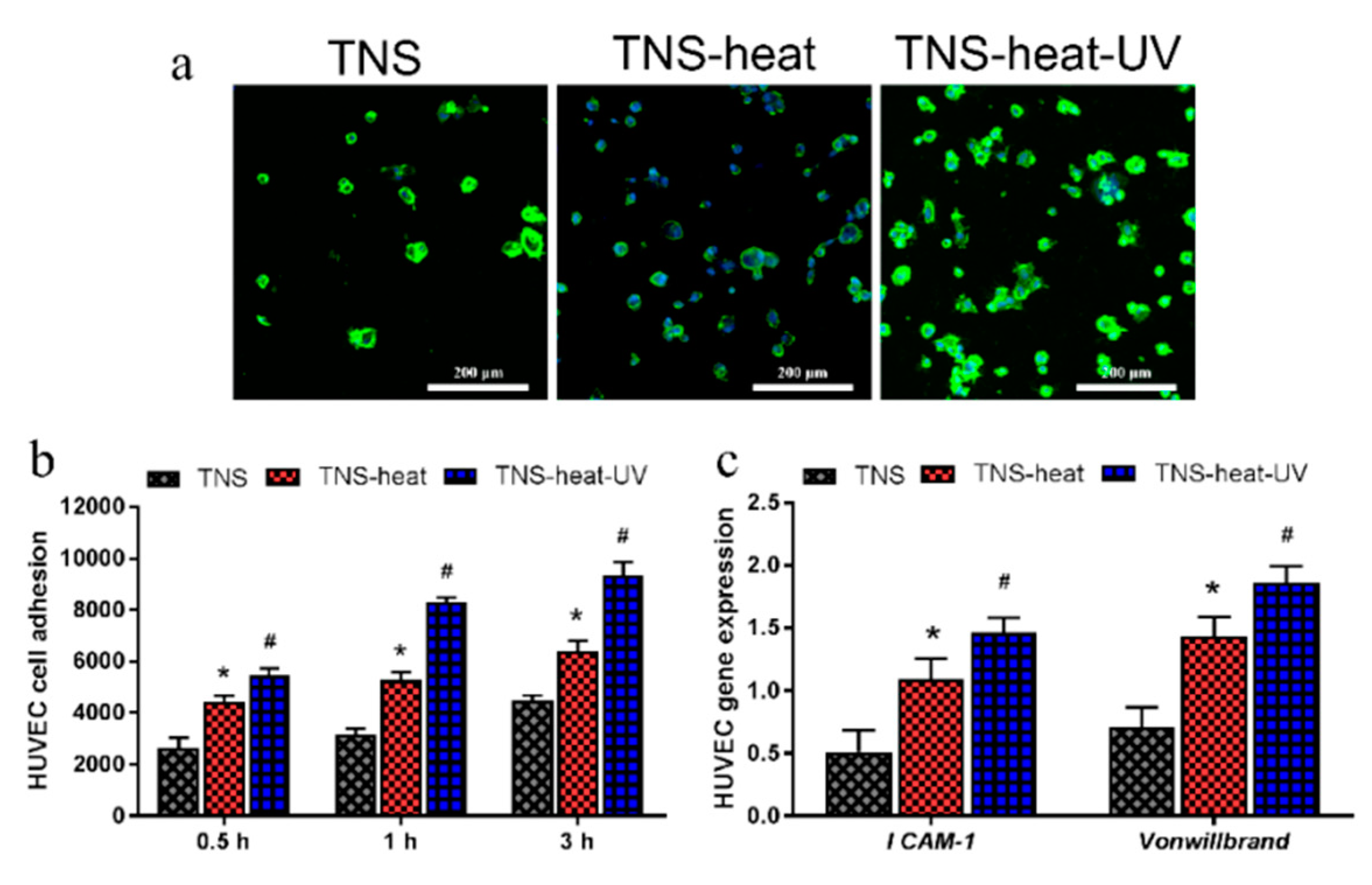 Ijms 20 05991 g005 Ijms 20 05991 g005