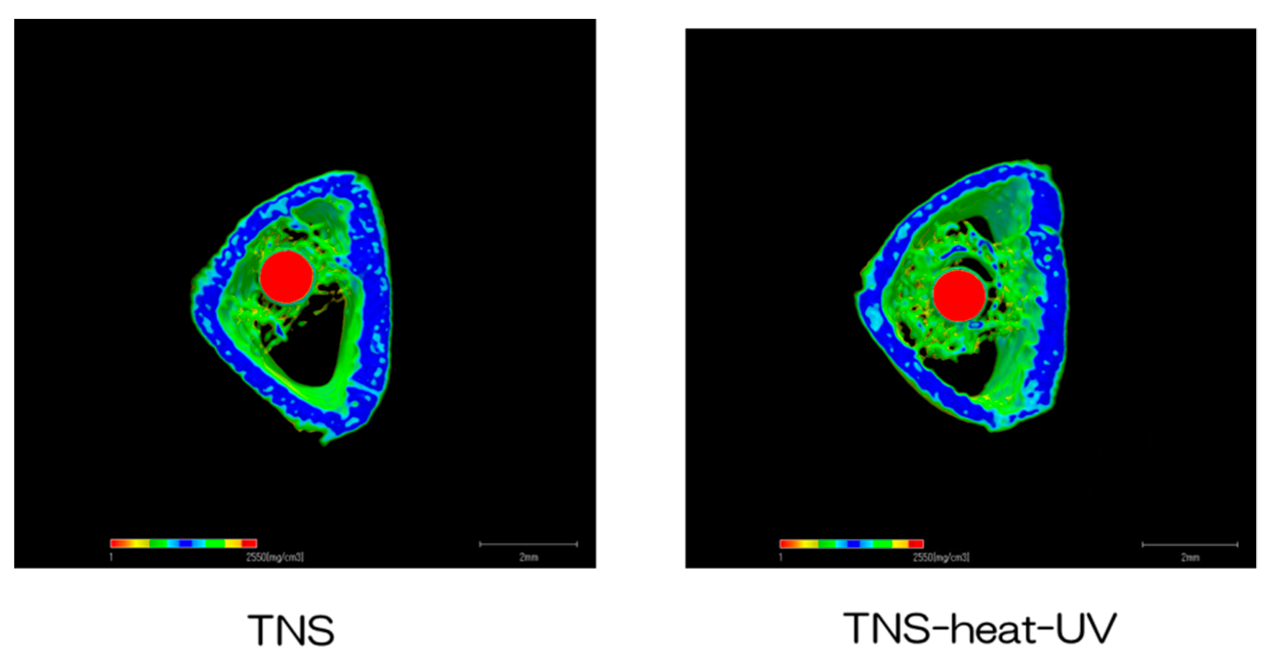 Ijms 20 05991 g009 Ijms 20 05991 g009
