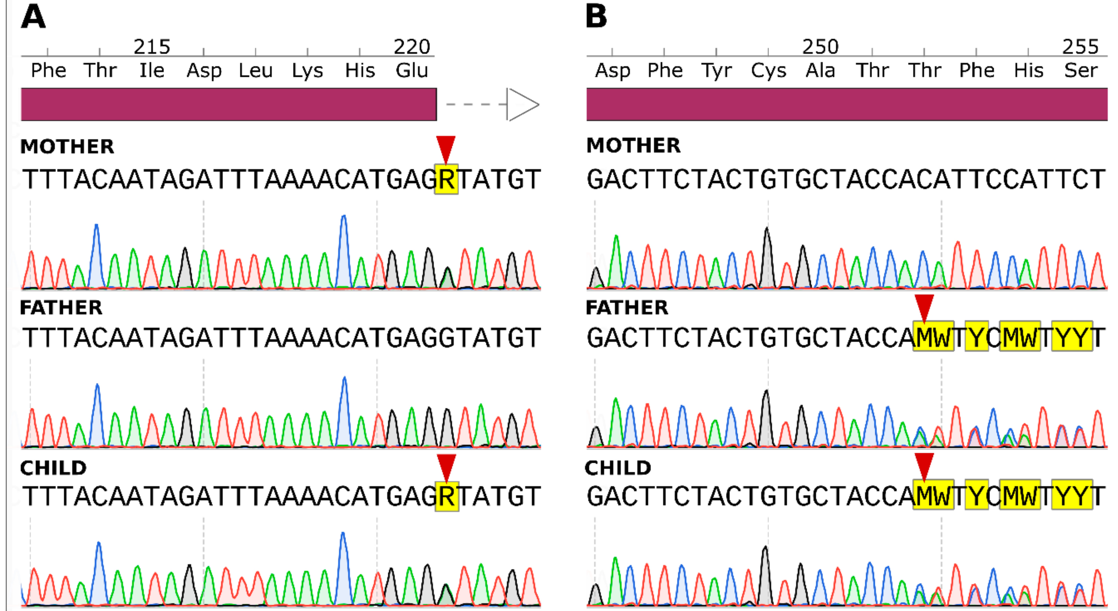 Ijms 20 06006 g003 Ijms 20 06006 g003