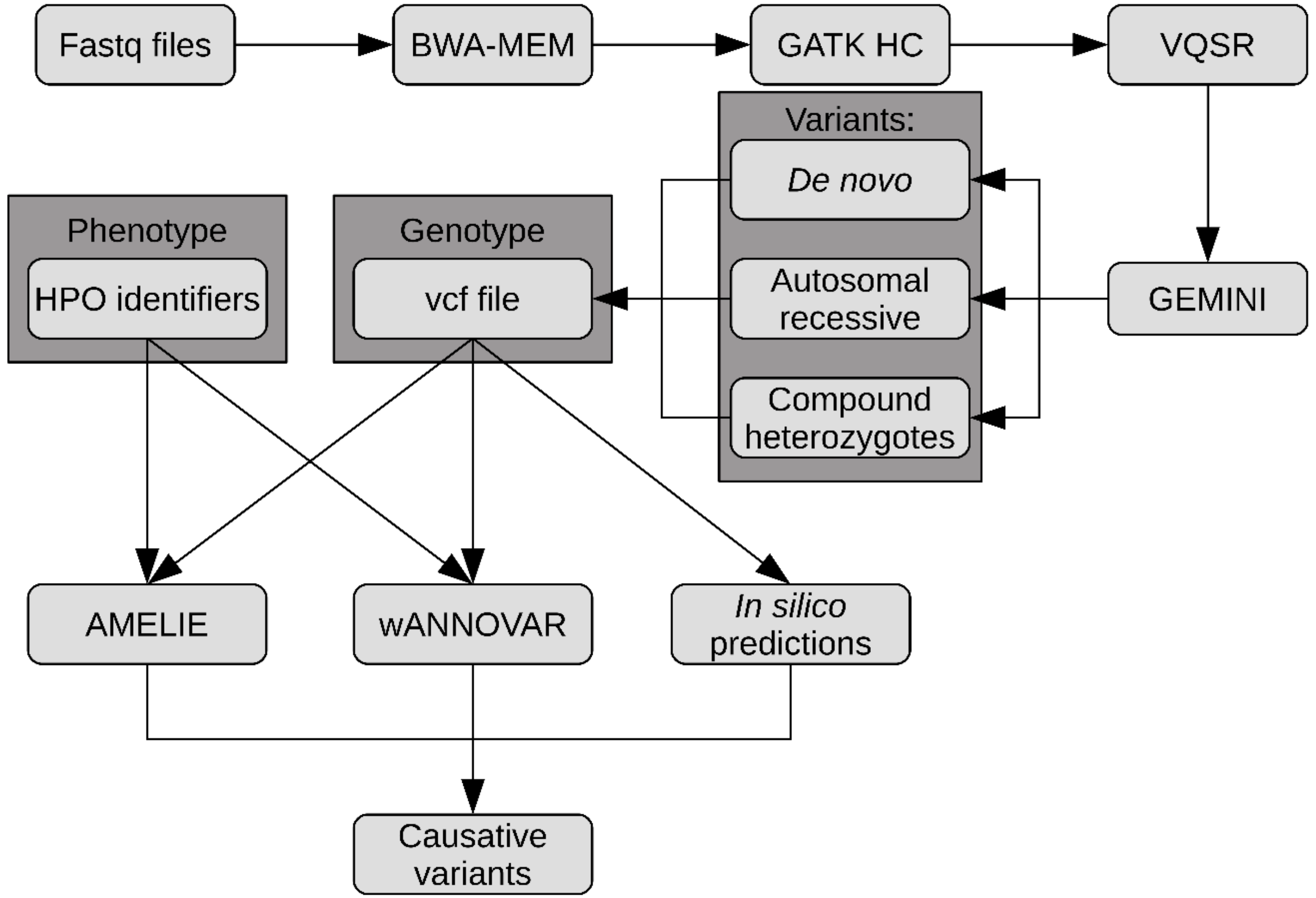 Ijms 20 06006 g004 Ijms 20 06006 g004