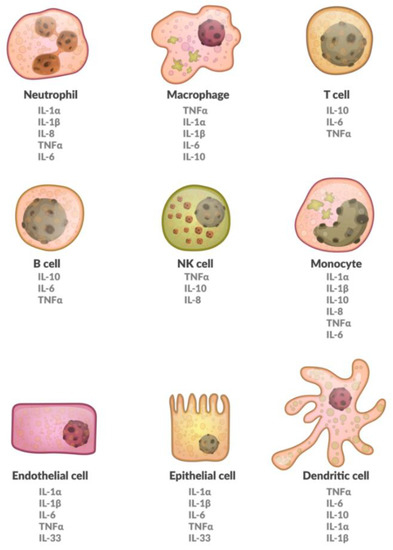 Encyclopedia of inflammatory diseases
