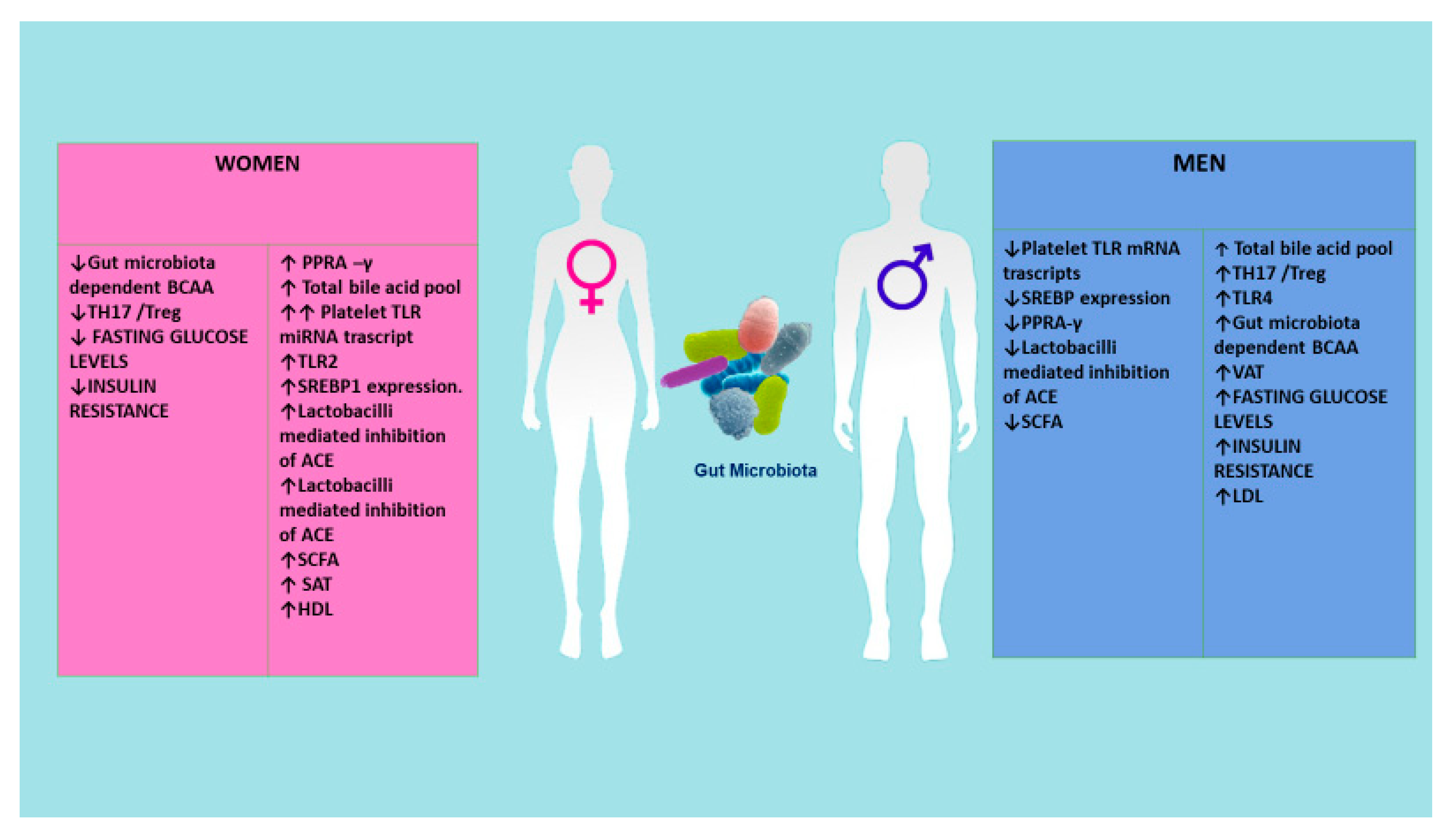 Ijms 20 06015 g005 Ijms 20 06015 g005