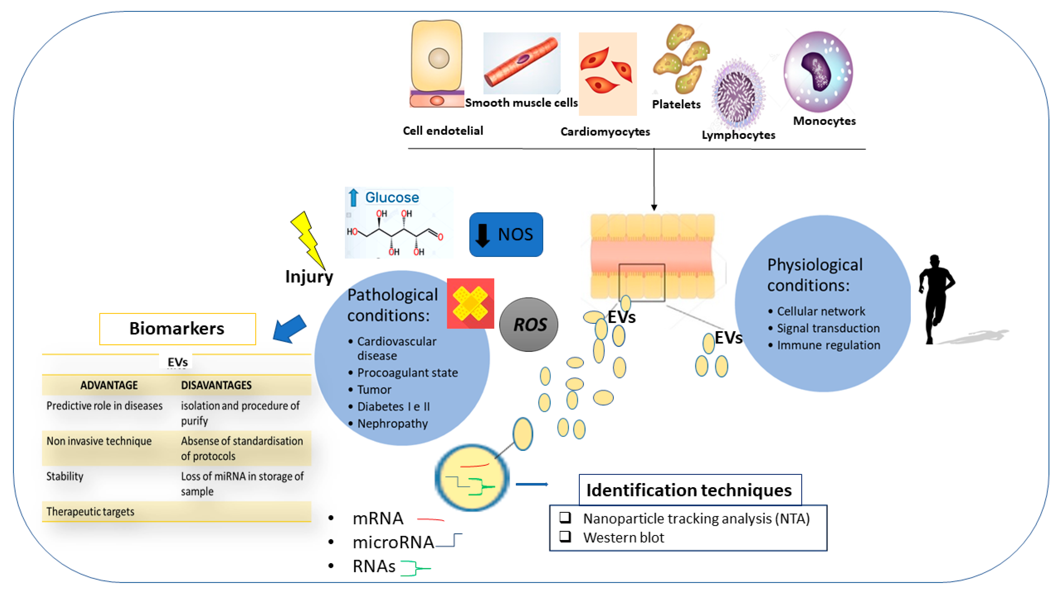 Ijms 20 06015 g006 Ijms 20 06015 g006