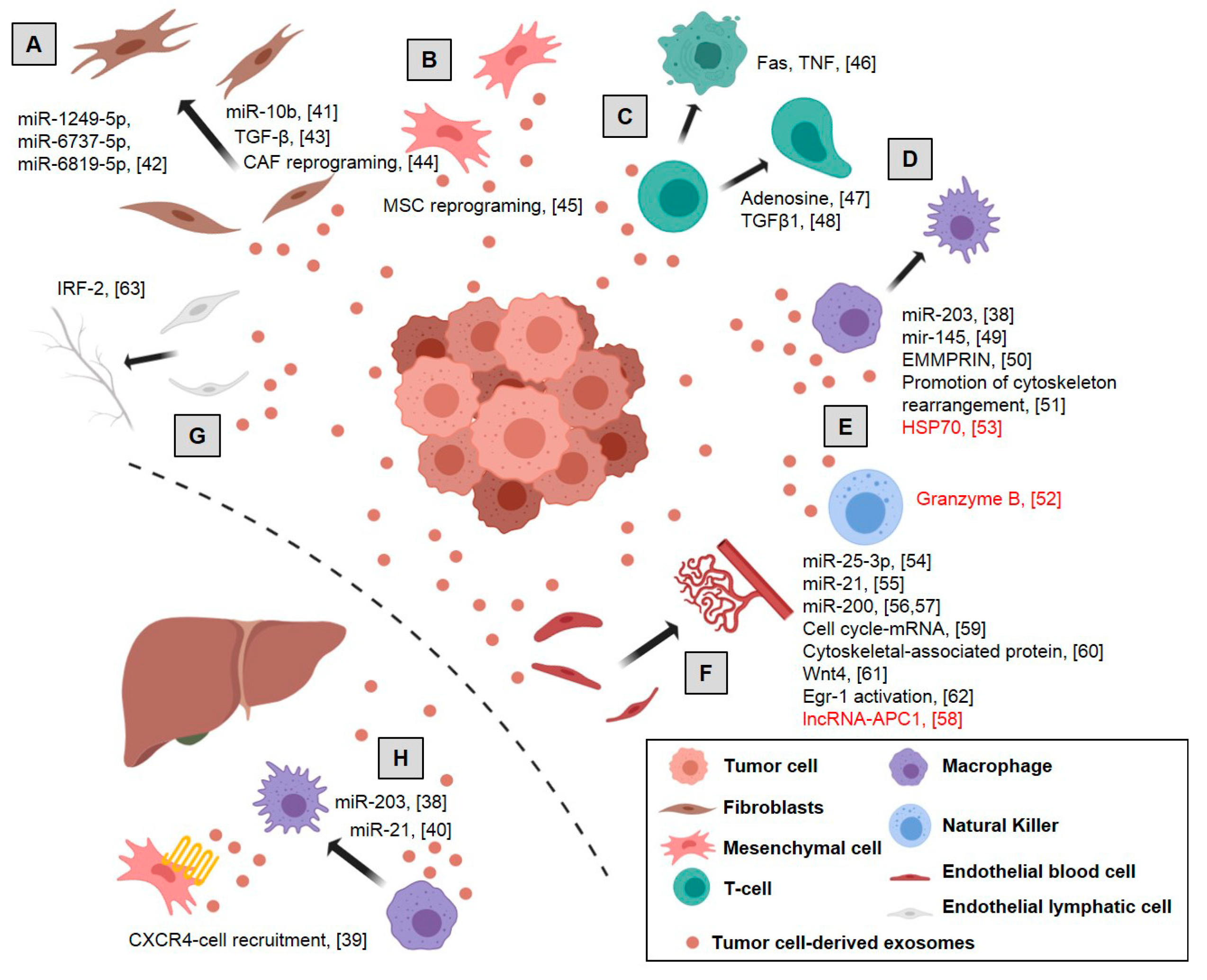 Ijms Free Full Text A Snapshot Of The Tumor Microenvironment In