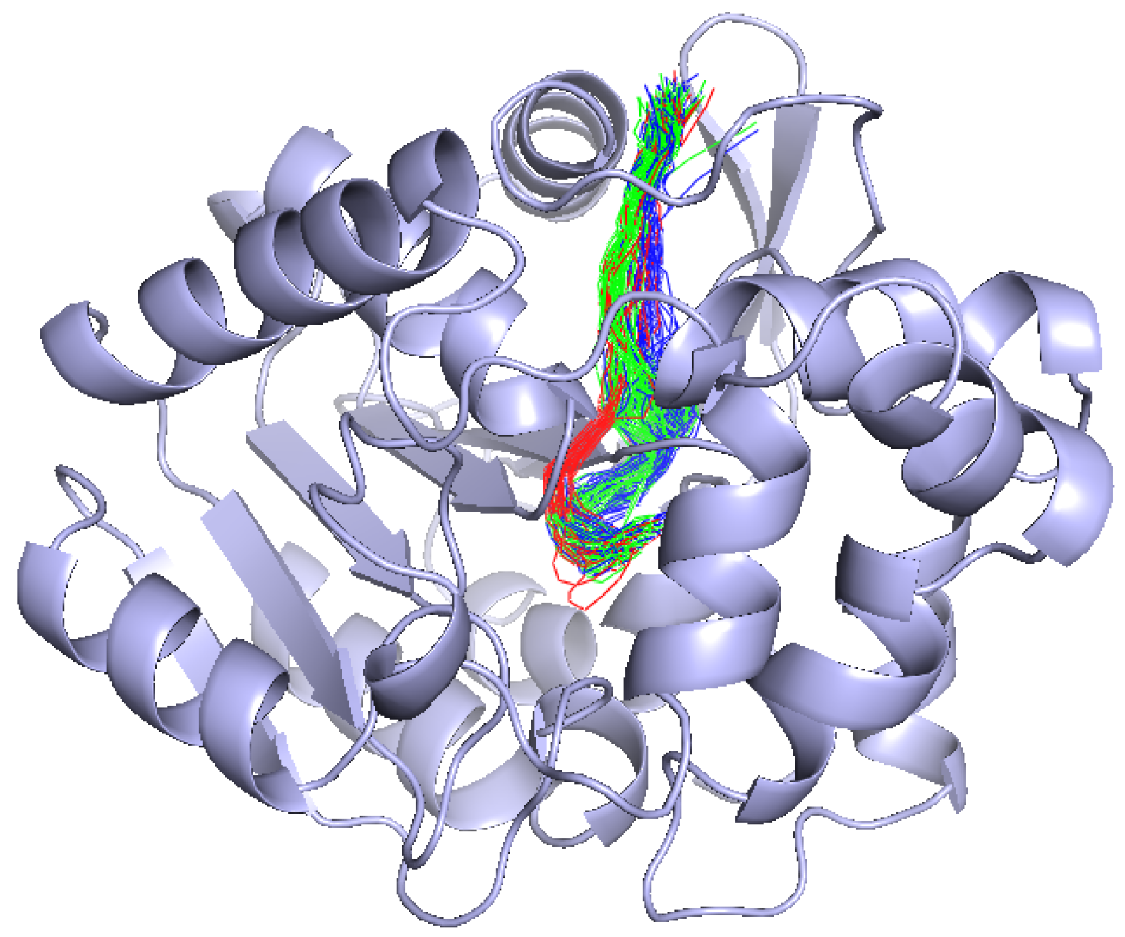 Ijms 20 06019 g010 550