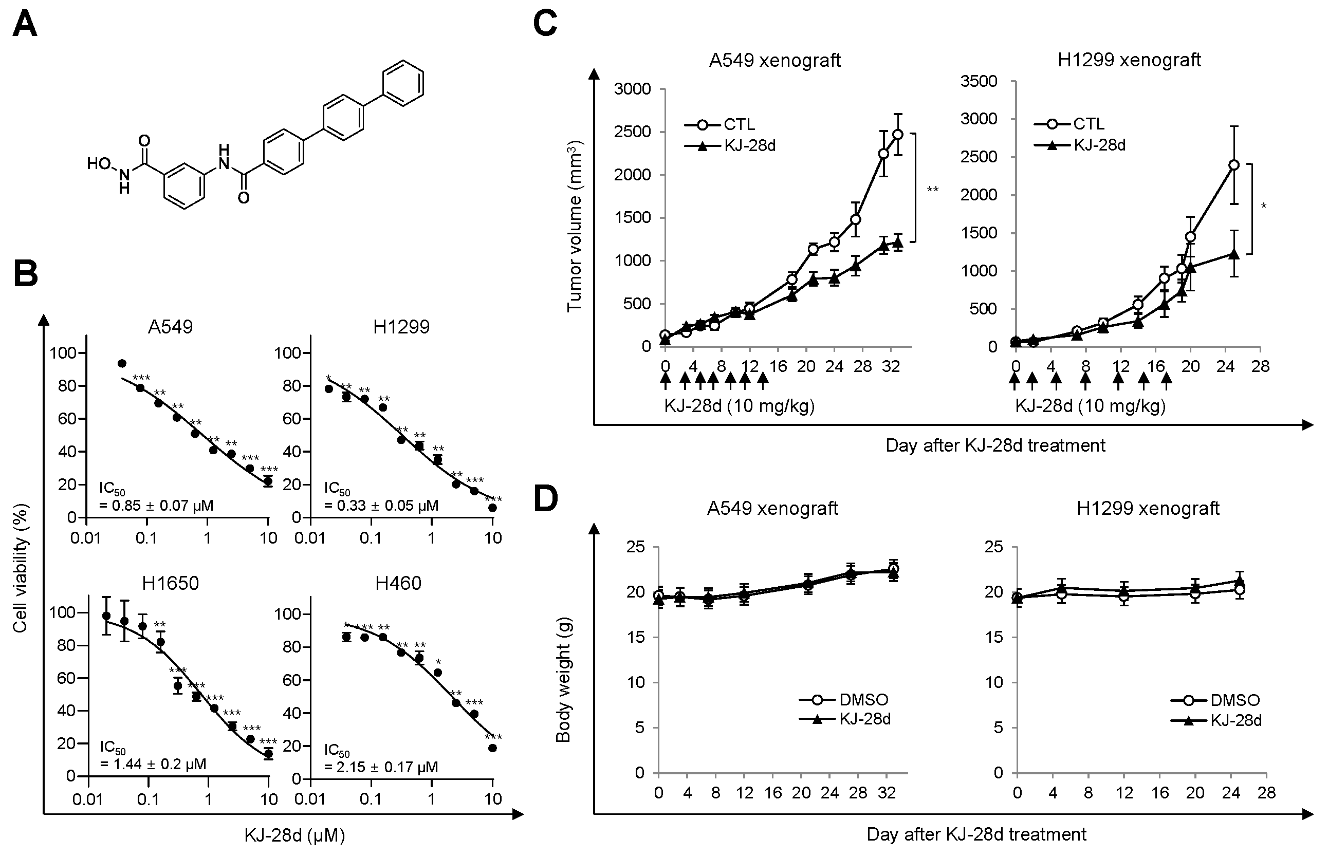 早割切符 A Small Compound KJ-28d Enhances the Sensitivity of Non 応援グッズ