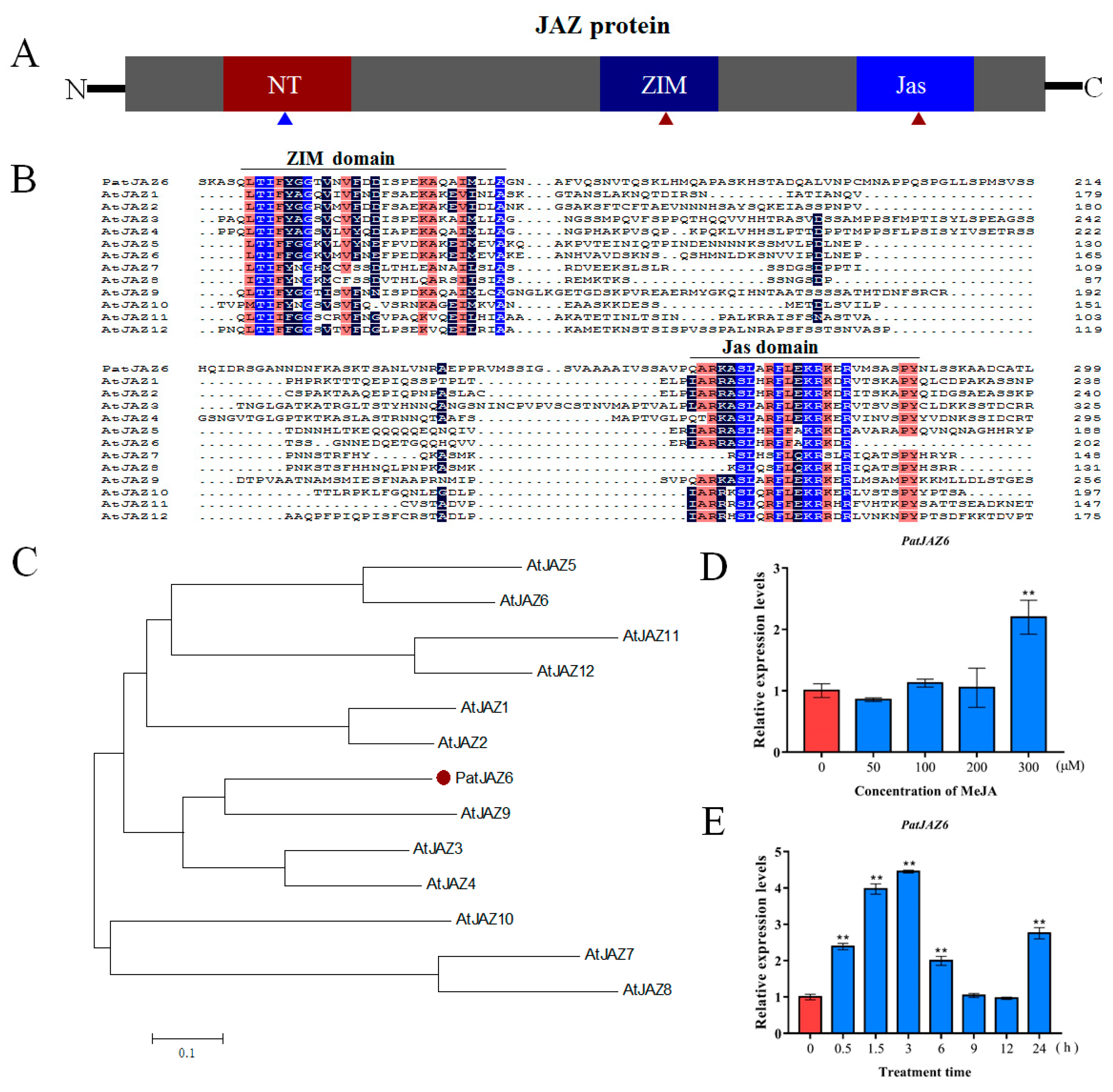 Ijms 20 06038 g001 Ijms 20 06038 g001