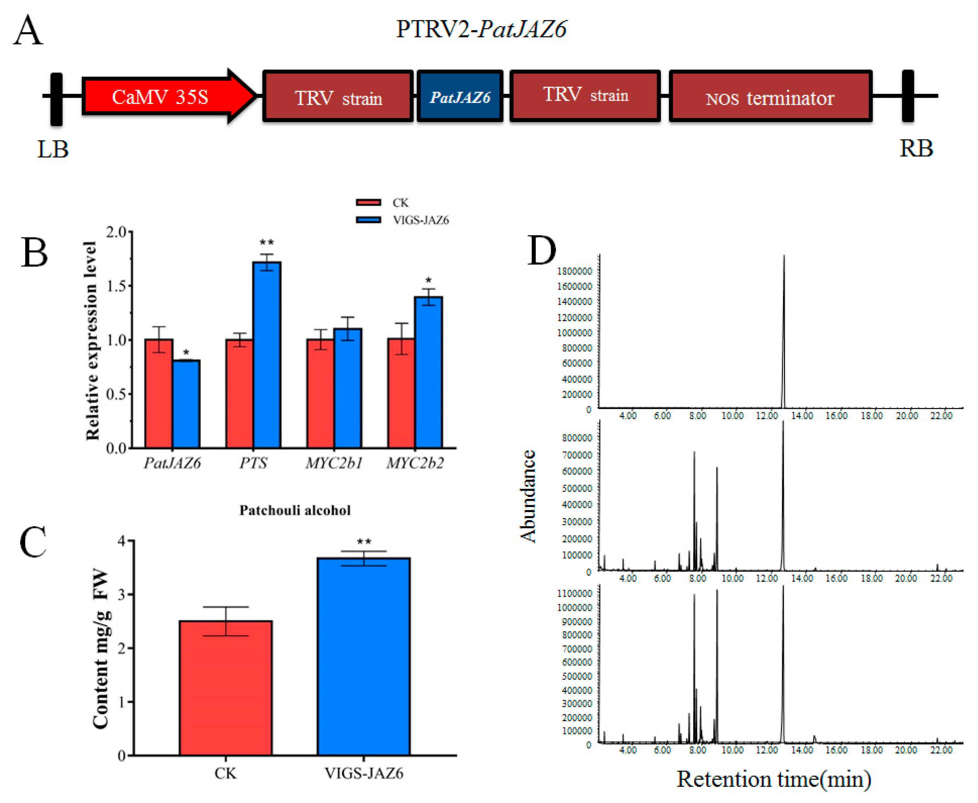 Ijms 20 06038 g004 Ijms 20 06038 g004